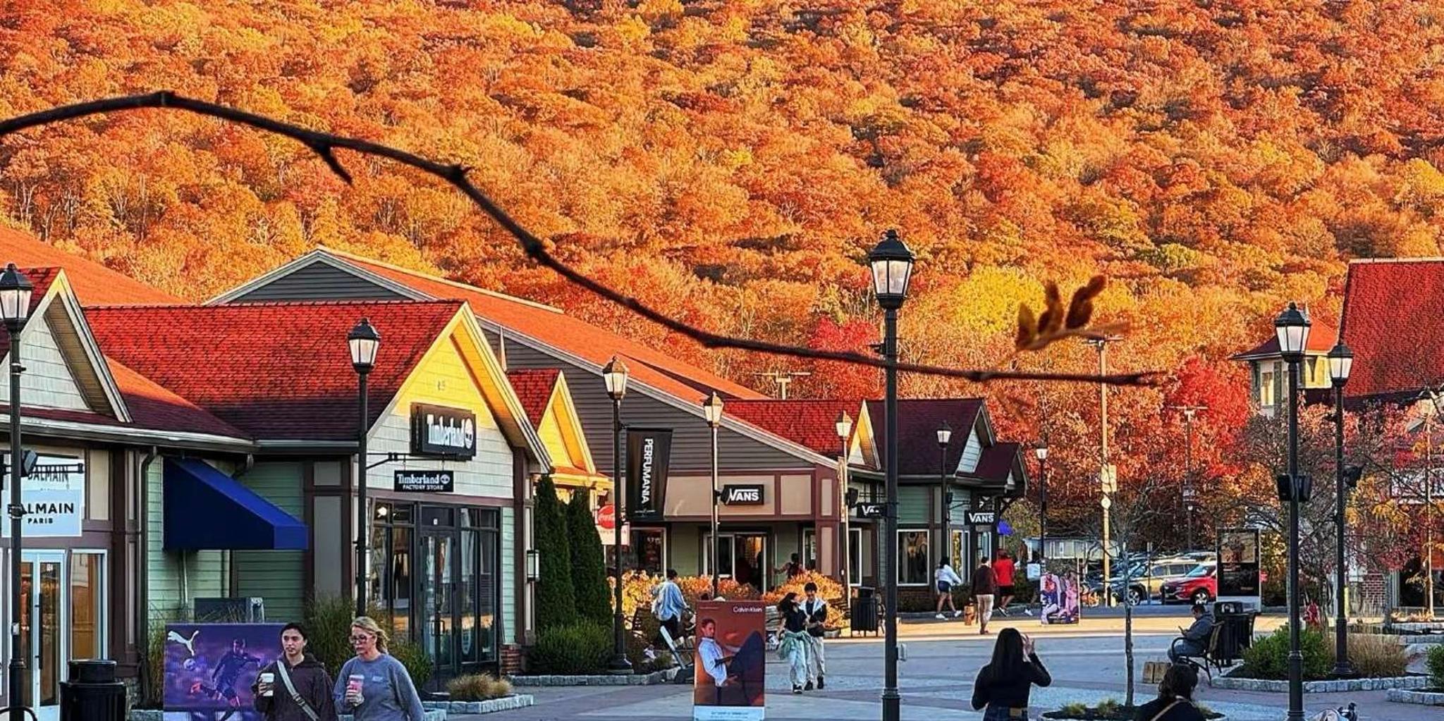 New York Private Transfer to Woodbury Common Outlets - Image 5