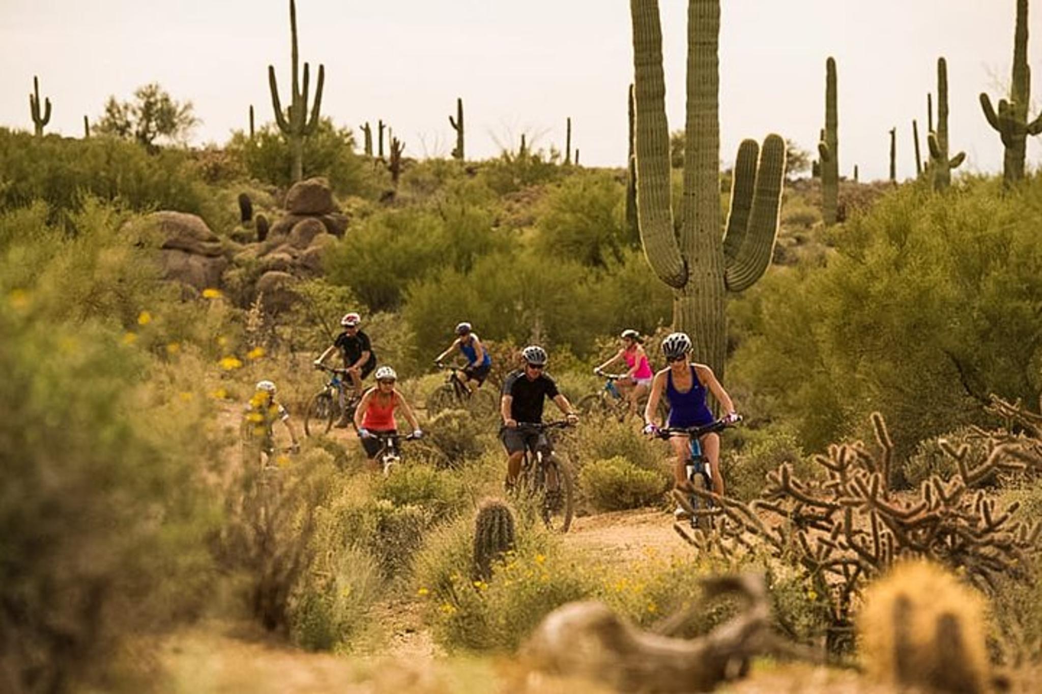 Scottsdale Mountain Bike Tour in Sonoran Desert - Image 6
