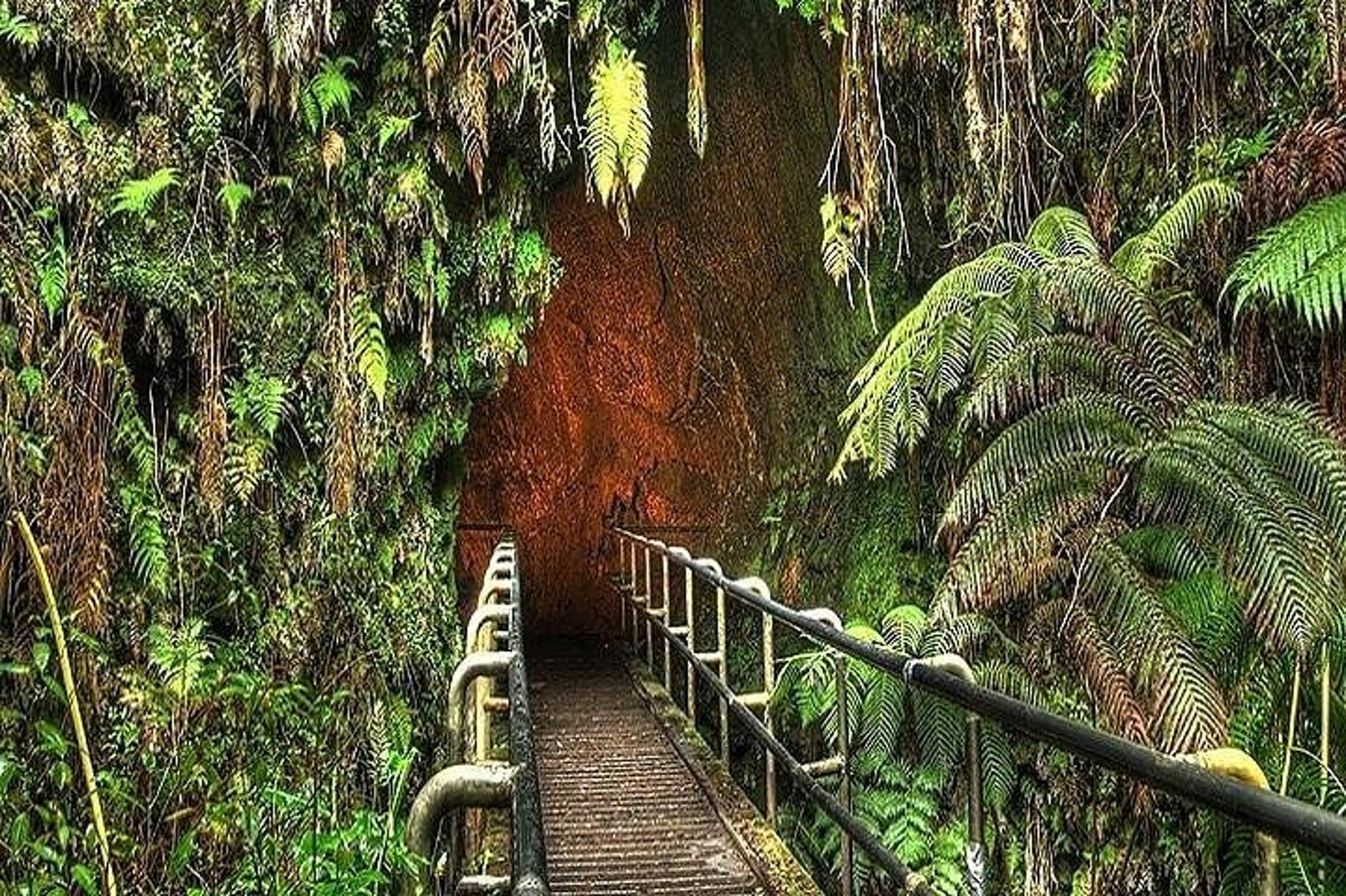 Big Island Volcanoes National Park Tour