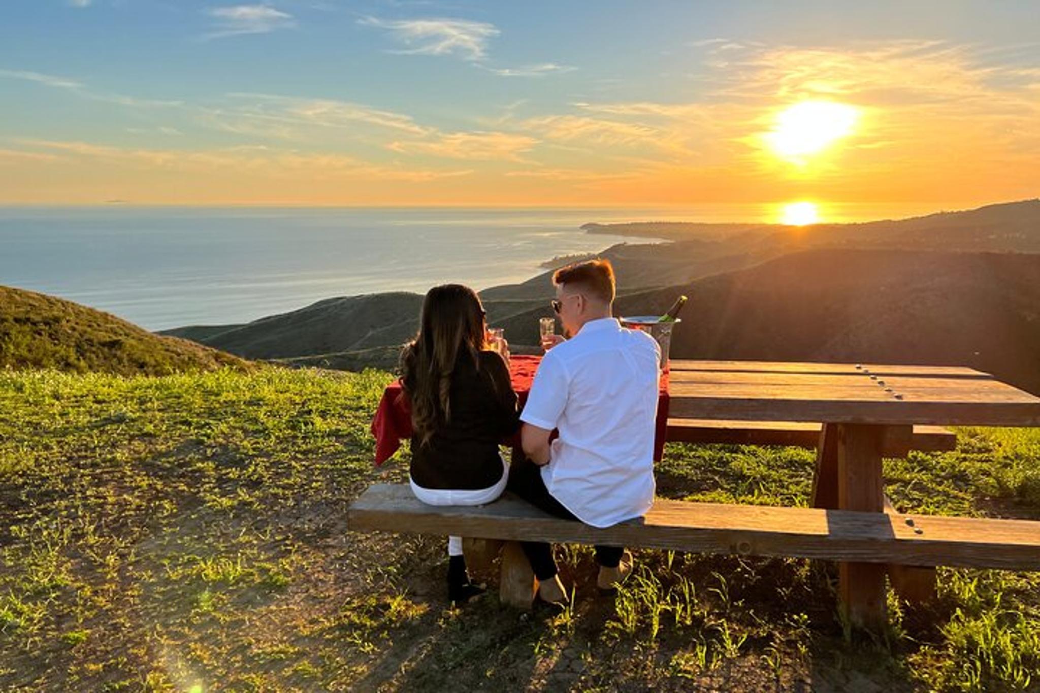 Los Angeles Helicopter Tour with Malibu Landing