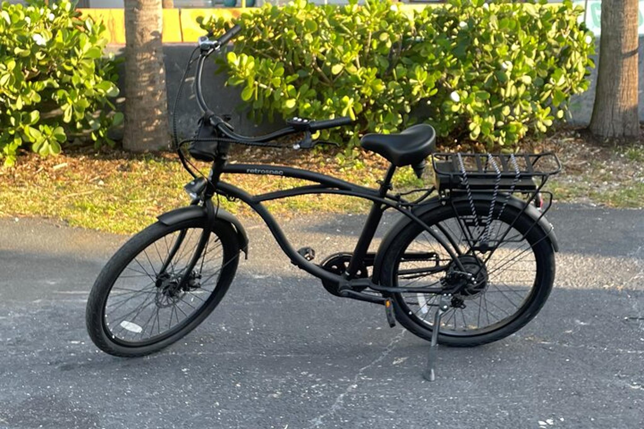 St Petersburg E-Bike Rental - Image 4