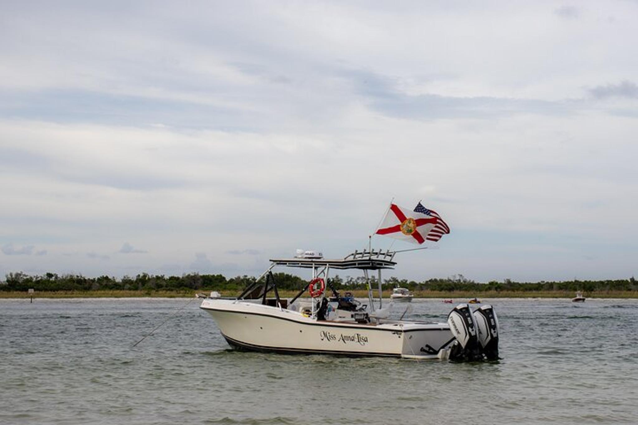 St. Petersburg Dolphin Watching Cruise 2 hr - Image 2