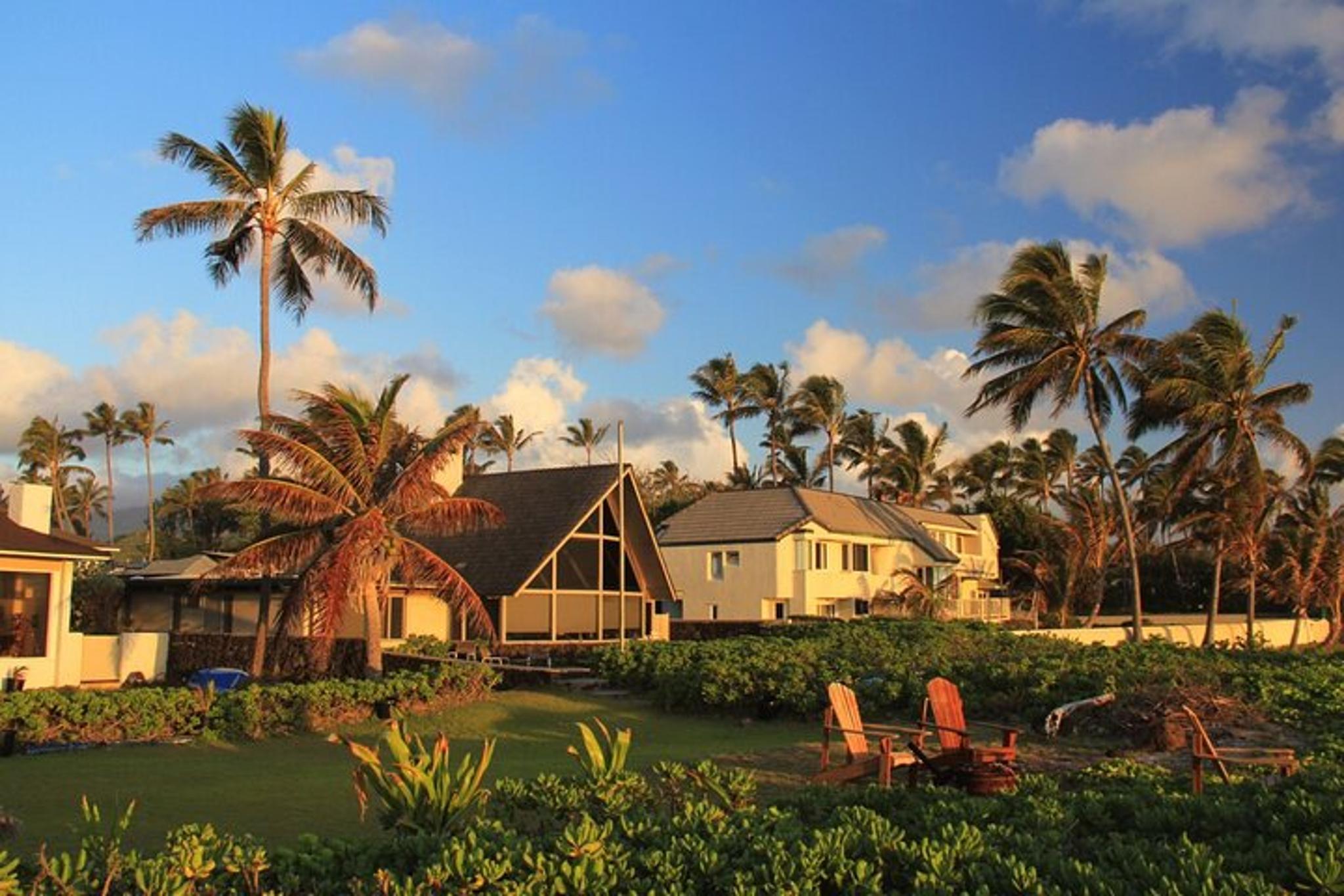 Oahu Custom Walking Tour with Local Guide - Image 5