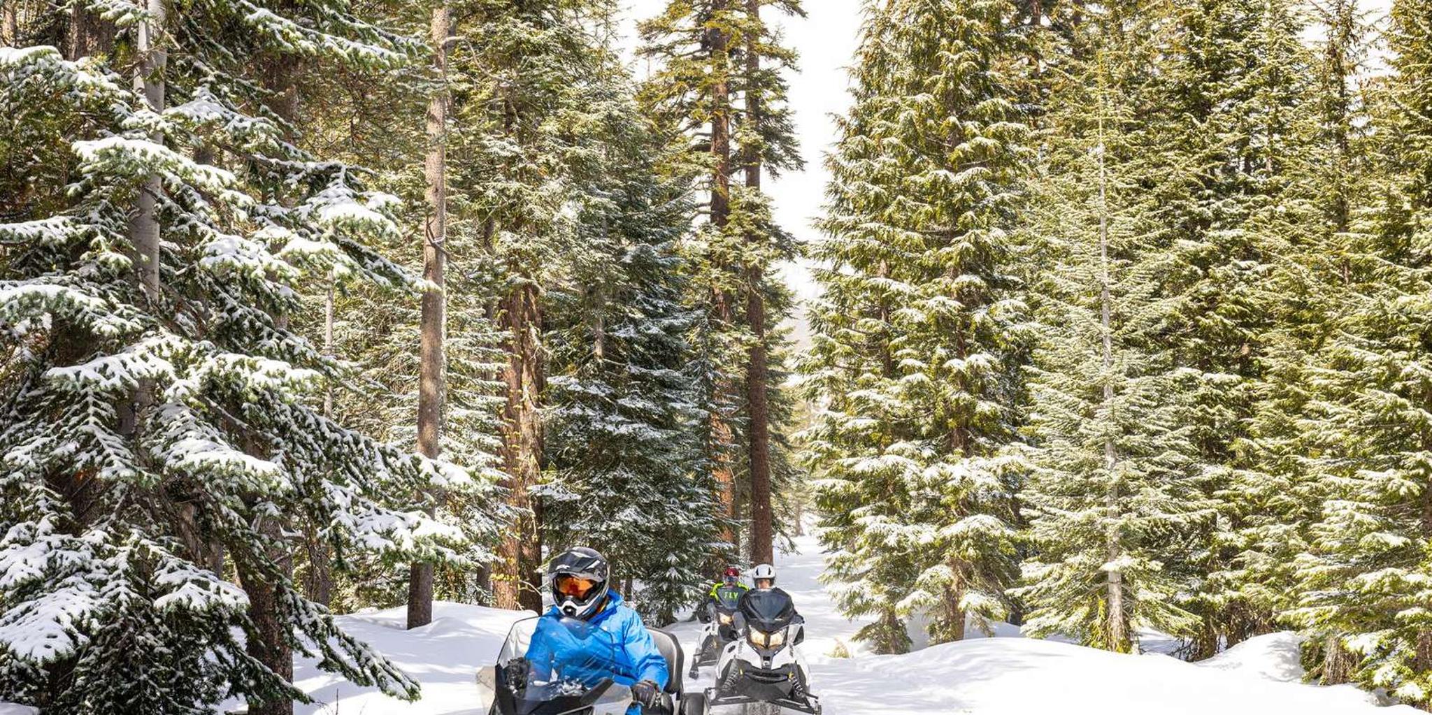 Lake Tahoe Snowmobile Tour with Scenic Views 2 hr