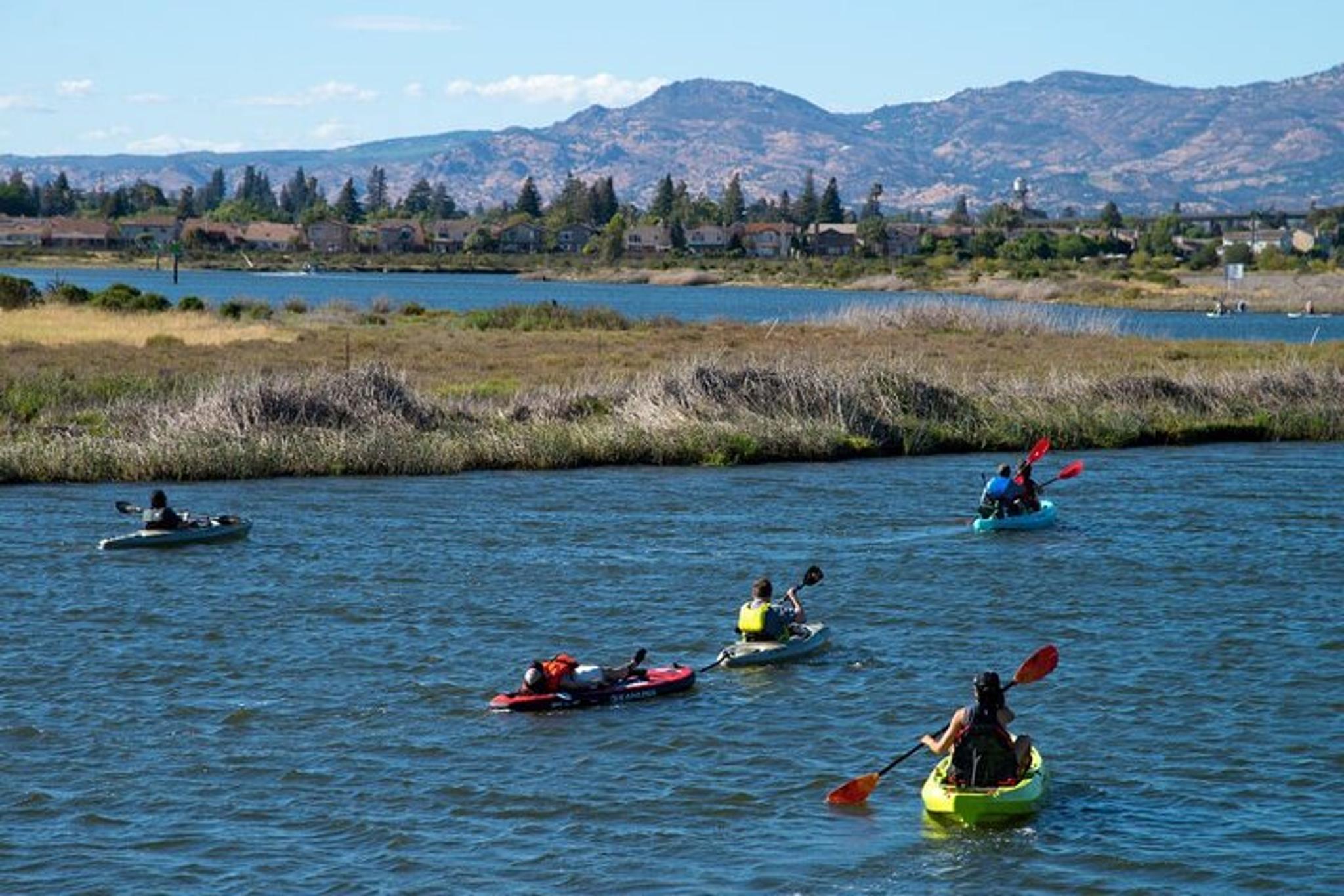 Napa Valley Kayak Tour - Image 2