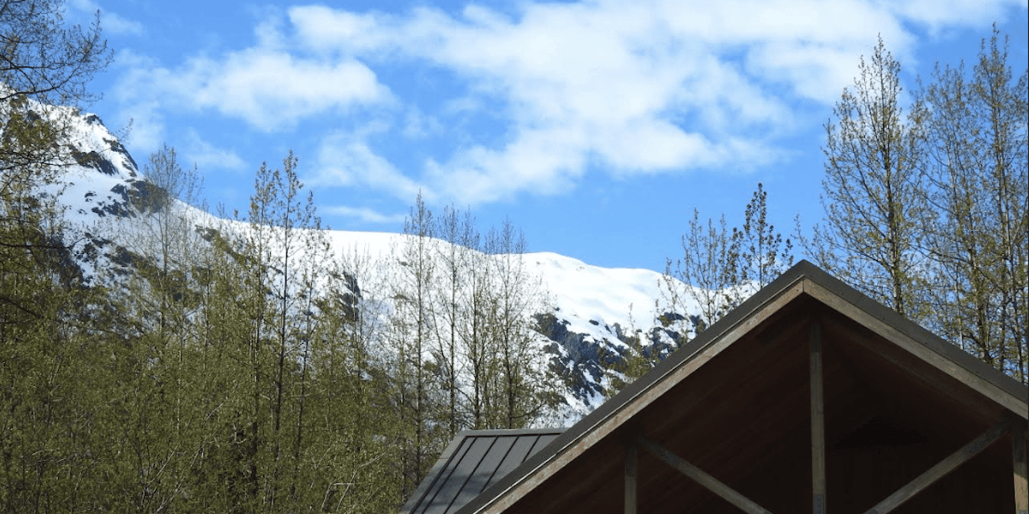 Seward Exit Glacier Nature Hike 2.5 hr - Image 4