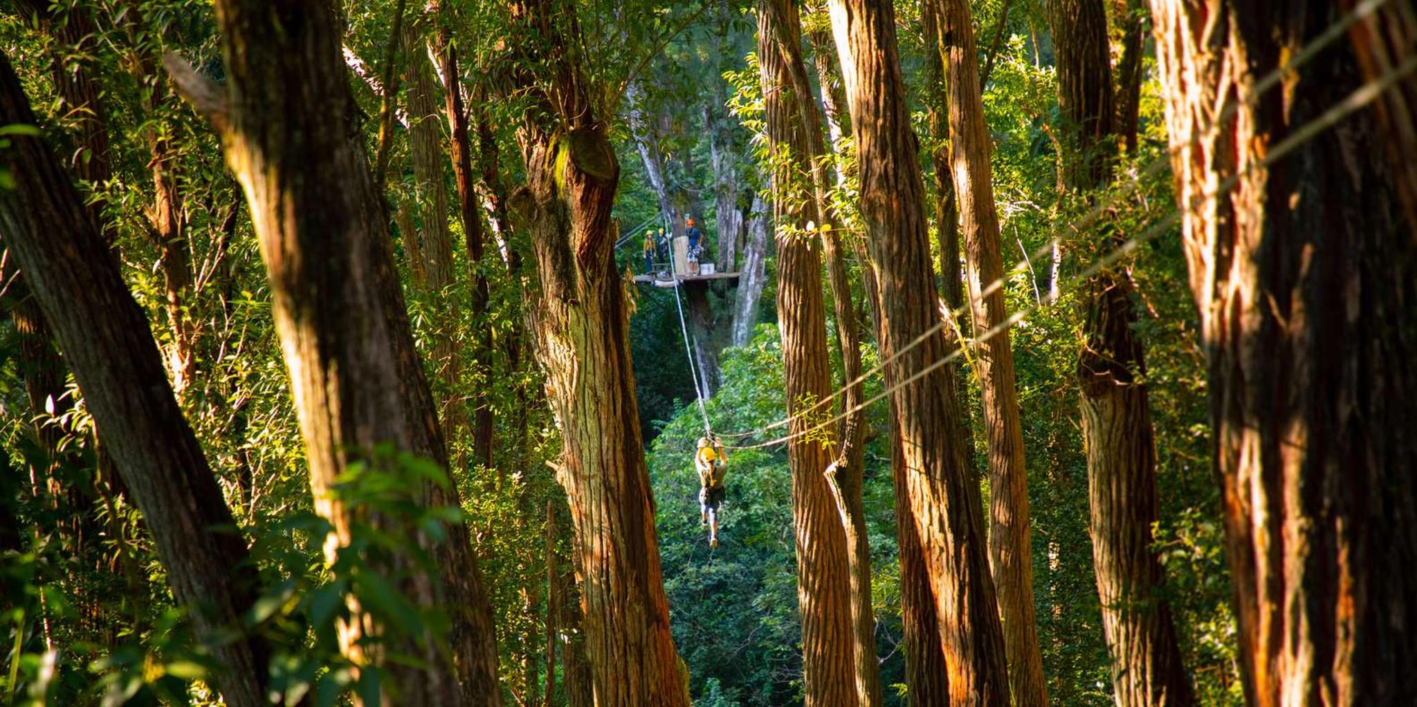 Kohala Canopy Zipline Adventure in Big Island