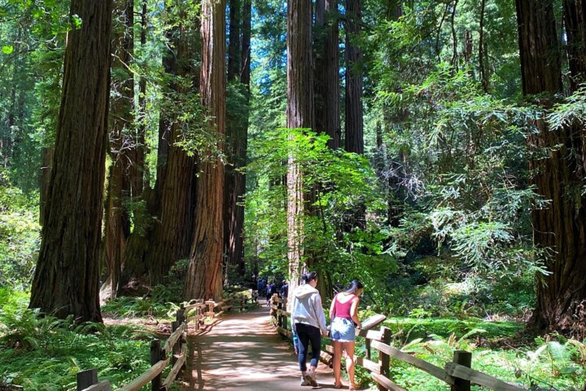 San Francisco Muir Woods Tour with Golden Gate Stops - Image 4