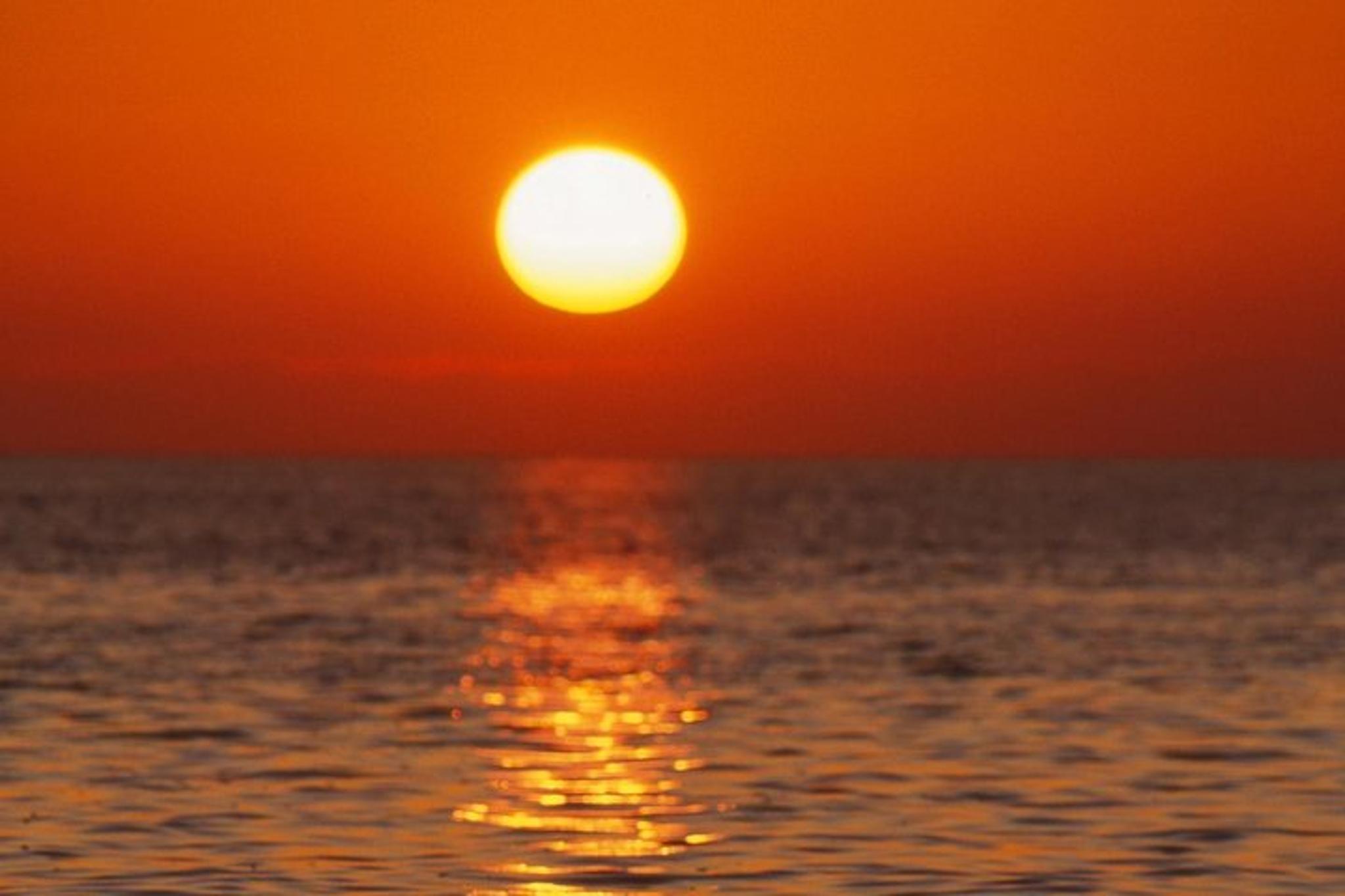 South Padre Island Sunset Cruise - Image 5