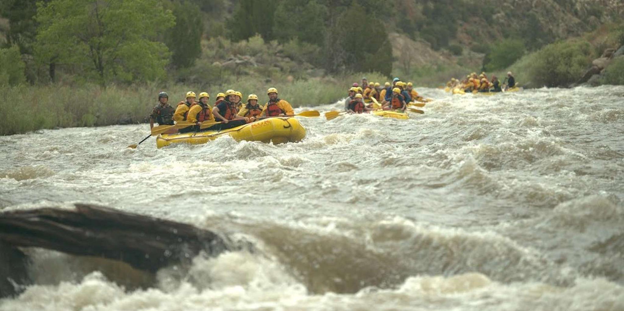 Cañon City Bighorn Sheep Canyon Rafting Adventure - Image 5