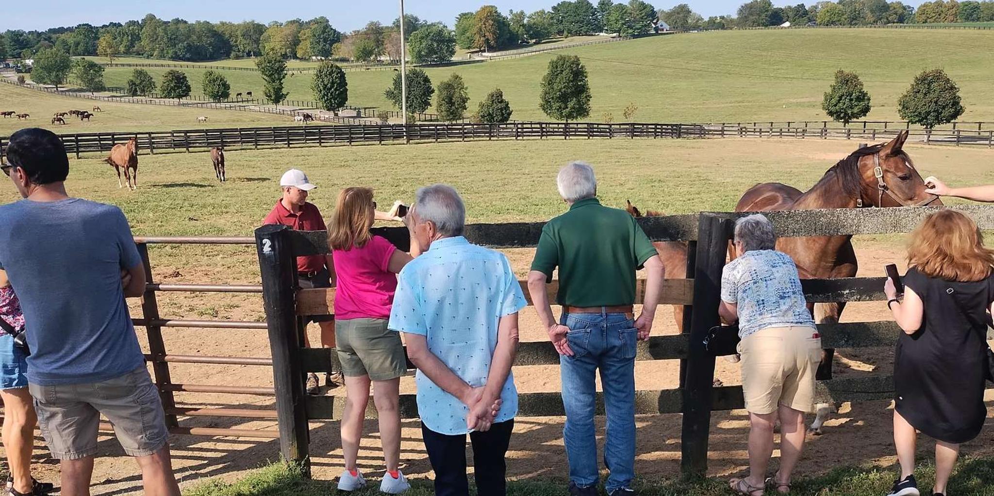 Lexington Thoroughbred Horse Farm Tour - Image 4
