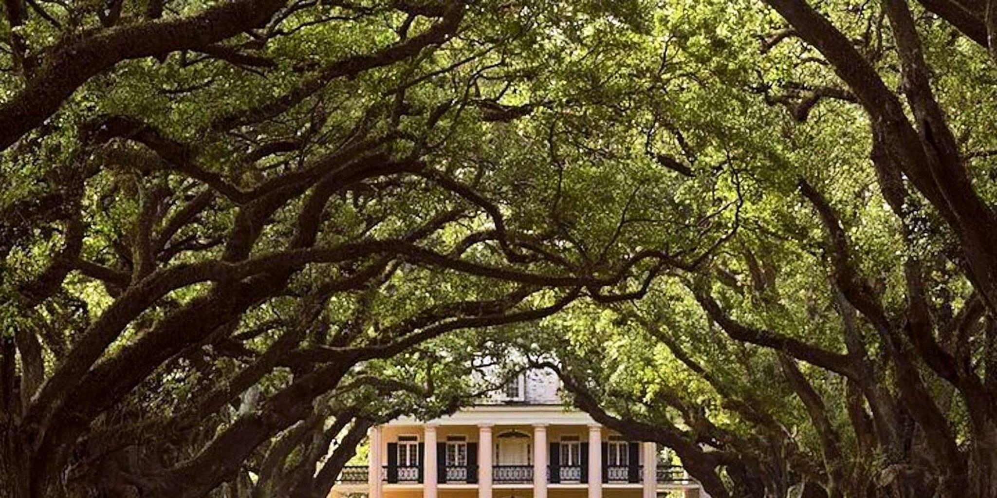 New Orleans Swamp Boat and Plantation Tour