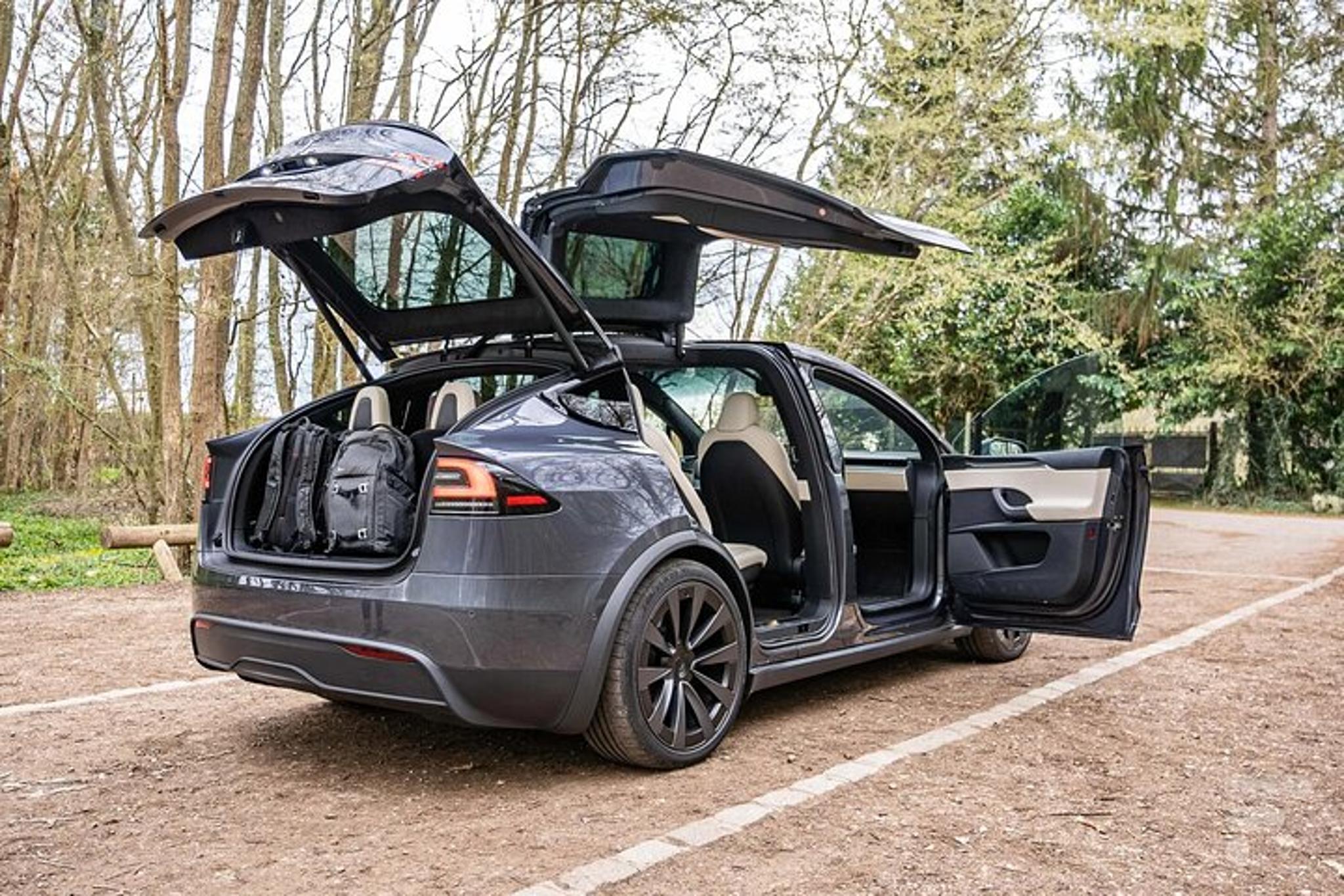 Las Vegas Private Airport Transfer by Electric Vehicle - Image 6