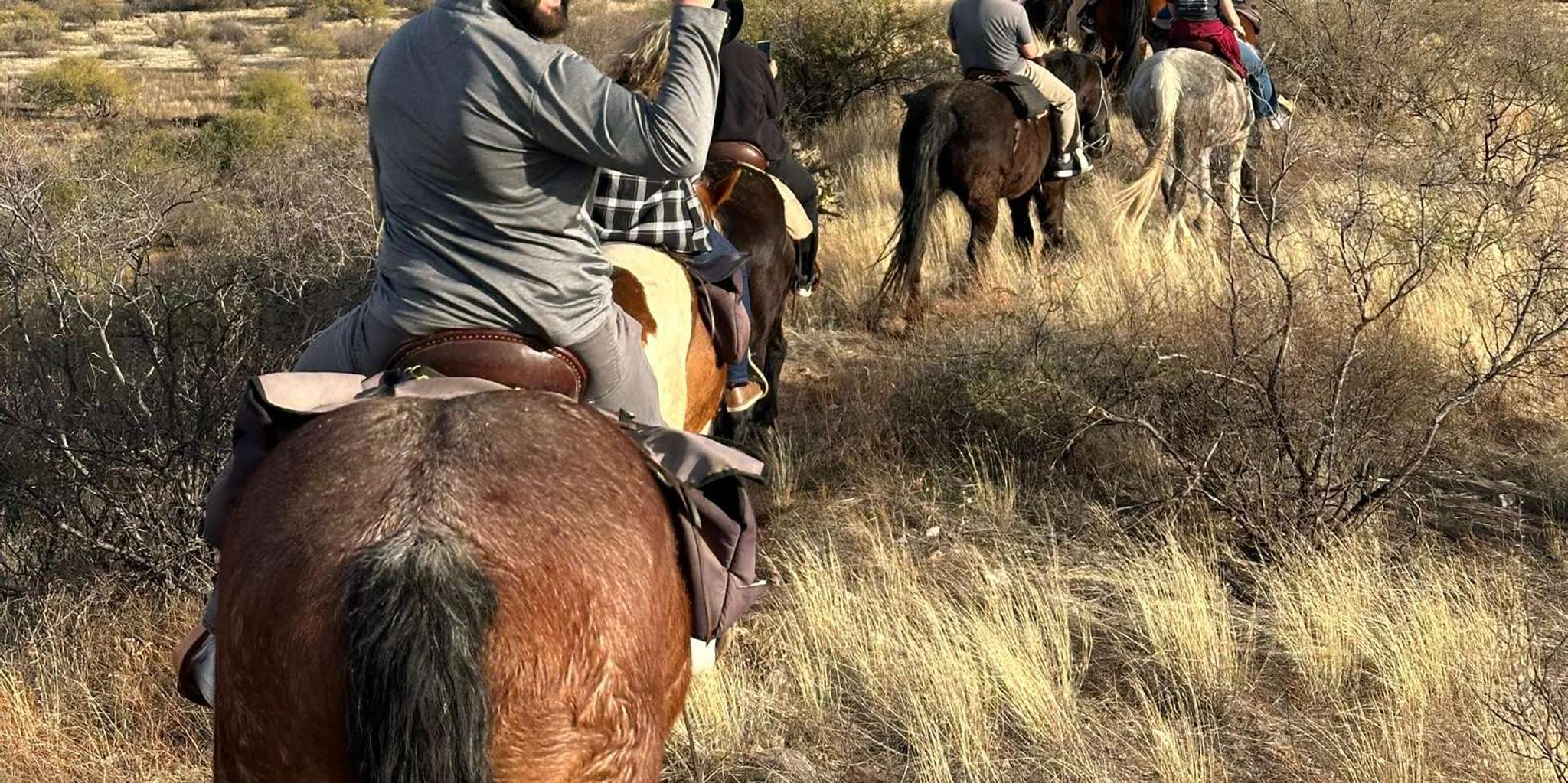 Tucson Horseback Ride in Catalina State Park - Image 5