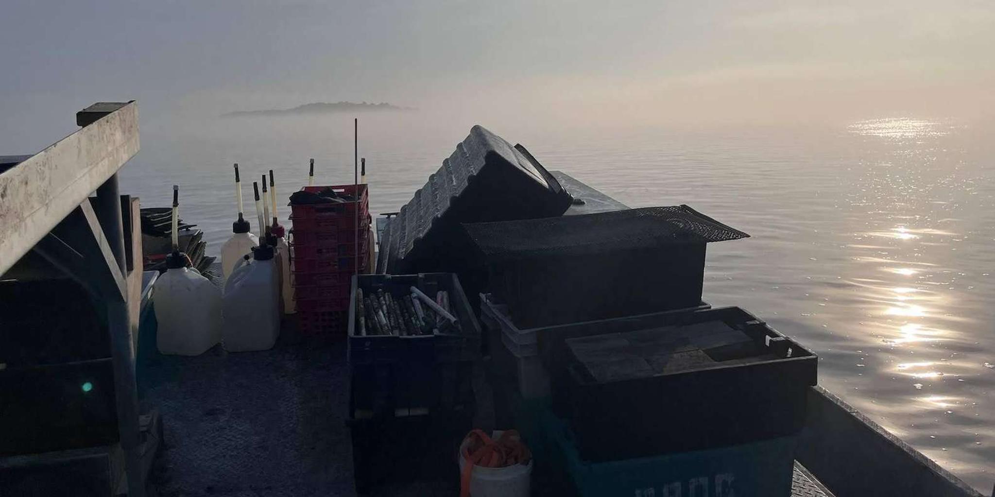 Plymouth Oyster Farm Boat Tour with Tasting - Image 4