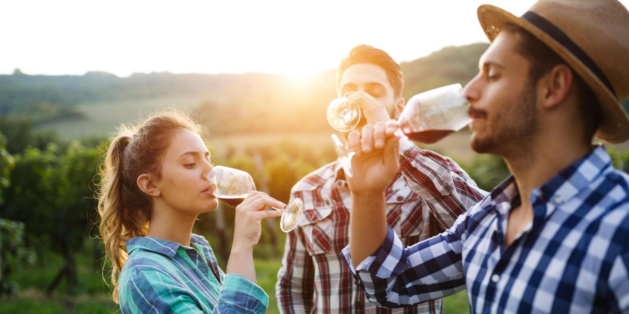 Amador County Wine Tasting Digital Passport - Image 2