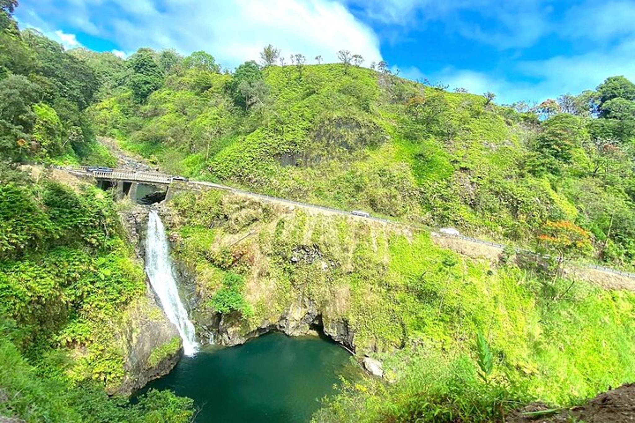 Hana Rainforest Tour - Image 4