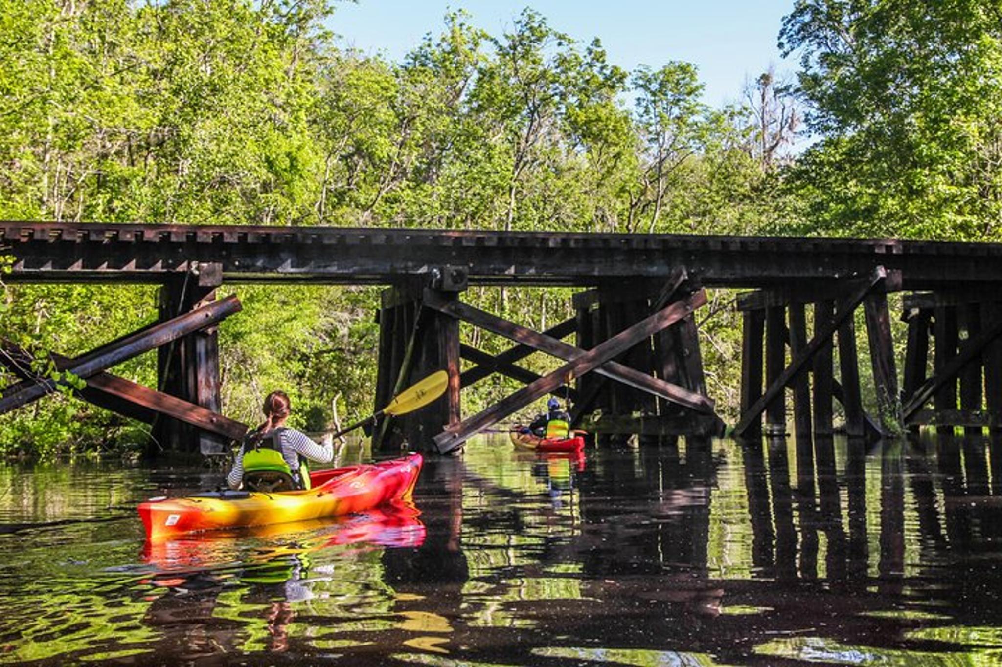 Amelia Island Kayak Tour of Lofton Creek - Image 4