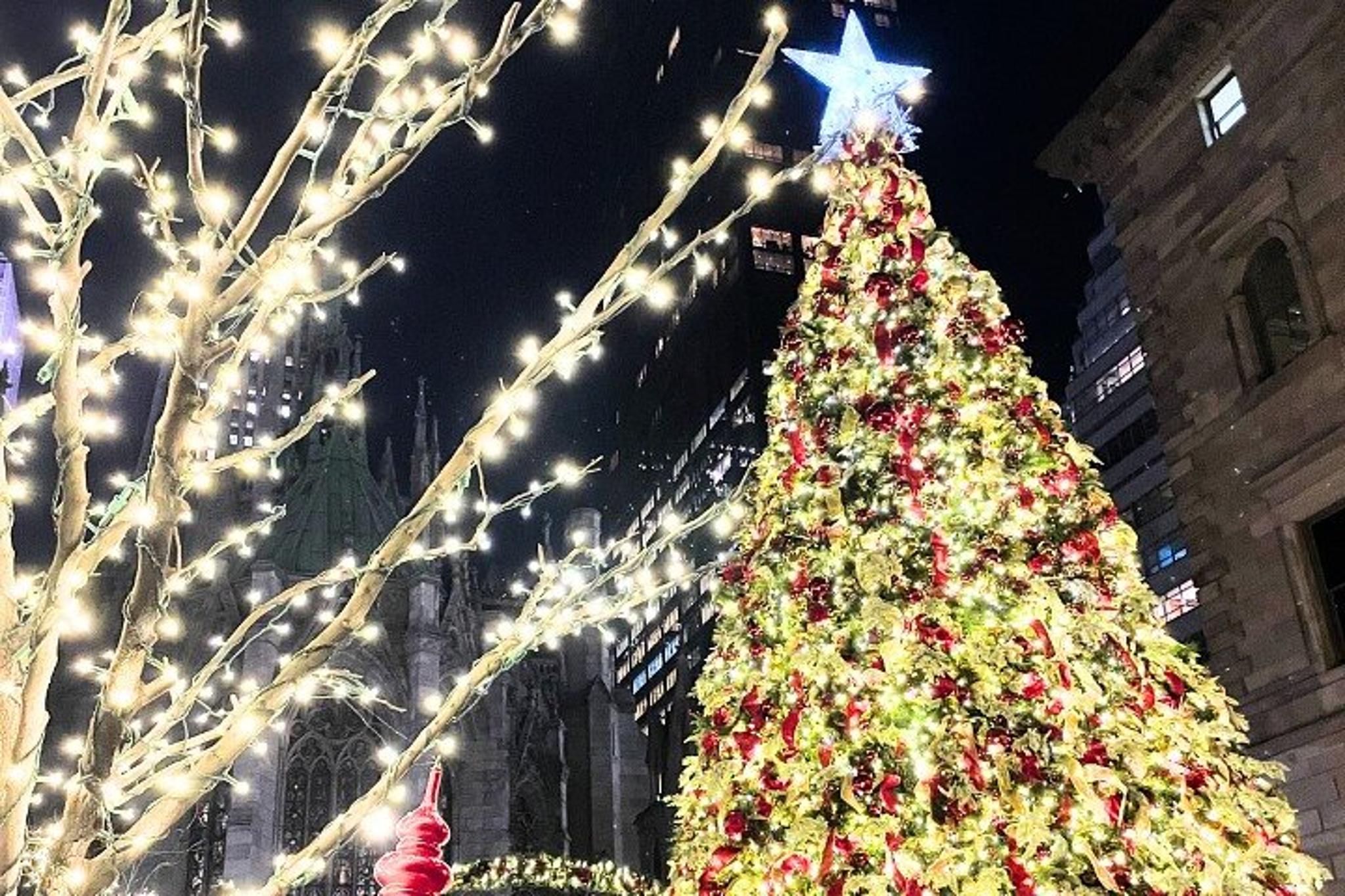 New York City Holiday Trees & Treats Crawl - Image 4