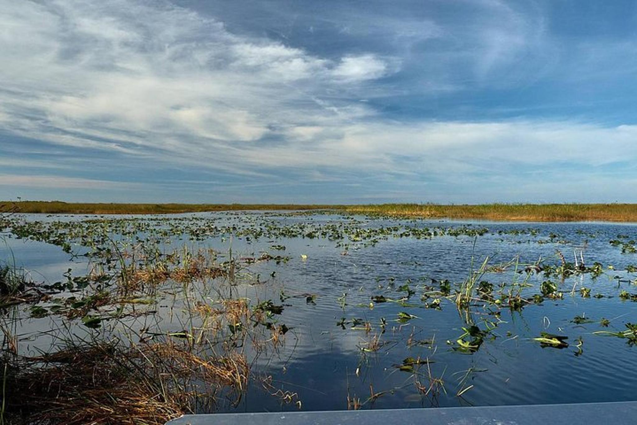 Miami Everglades National Park Airboat Tour - Image 5