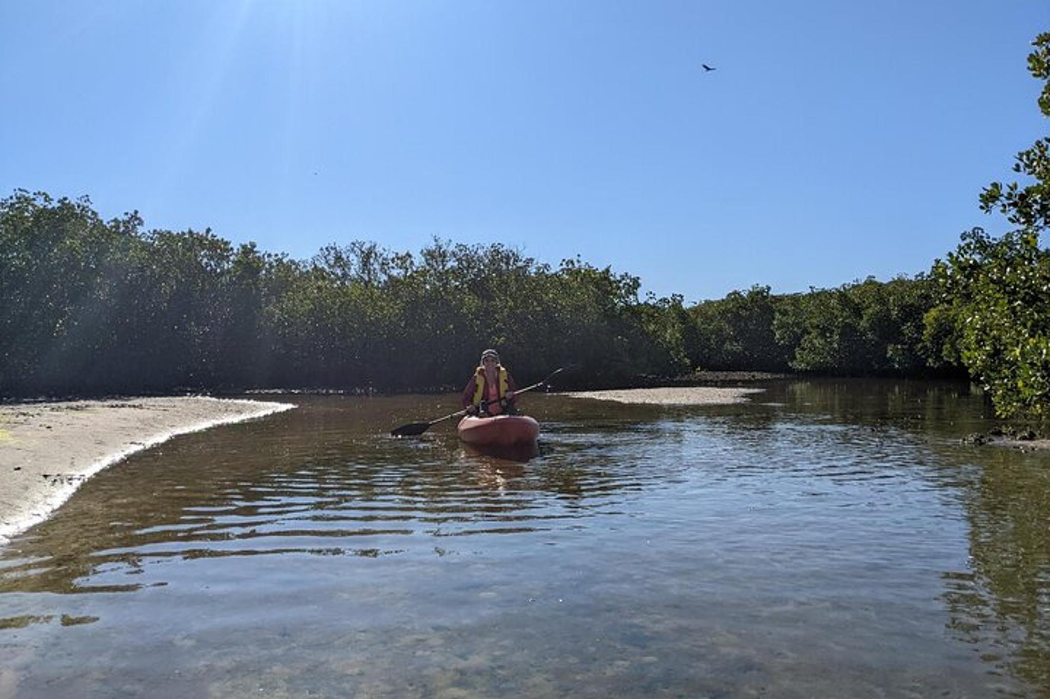 Anclote River Tandem Kayak Tour - Image 3