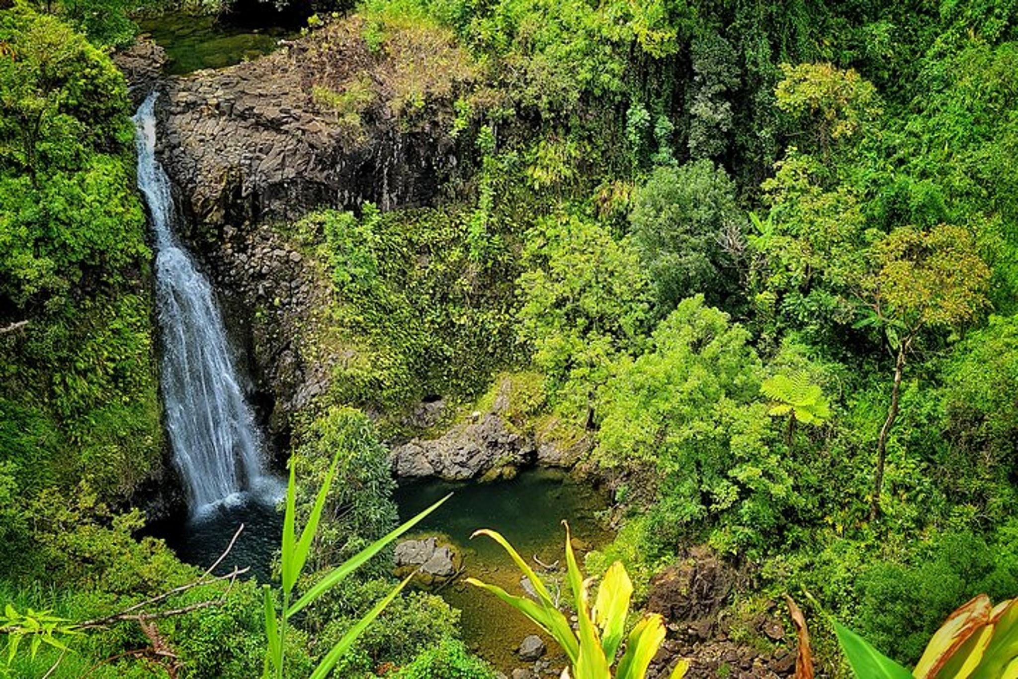 Maui Road to Hana Private Tour