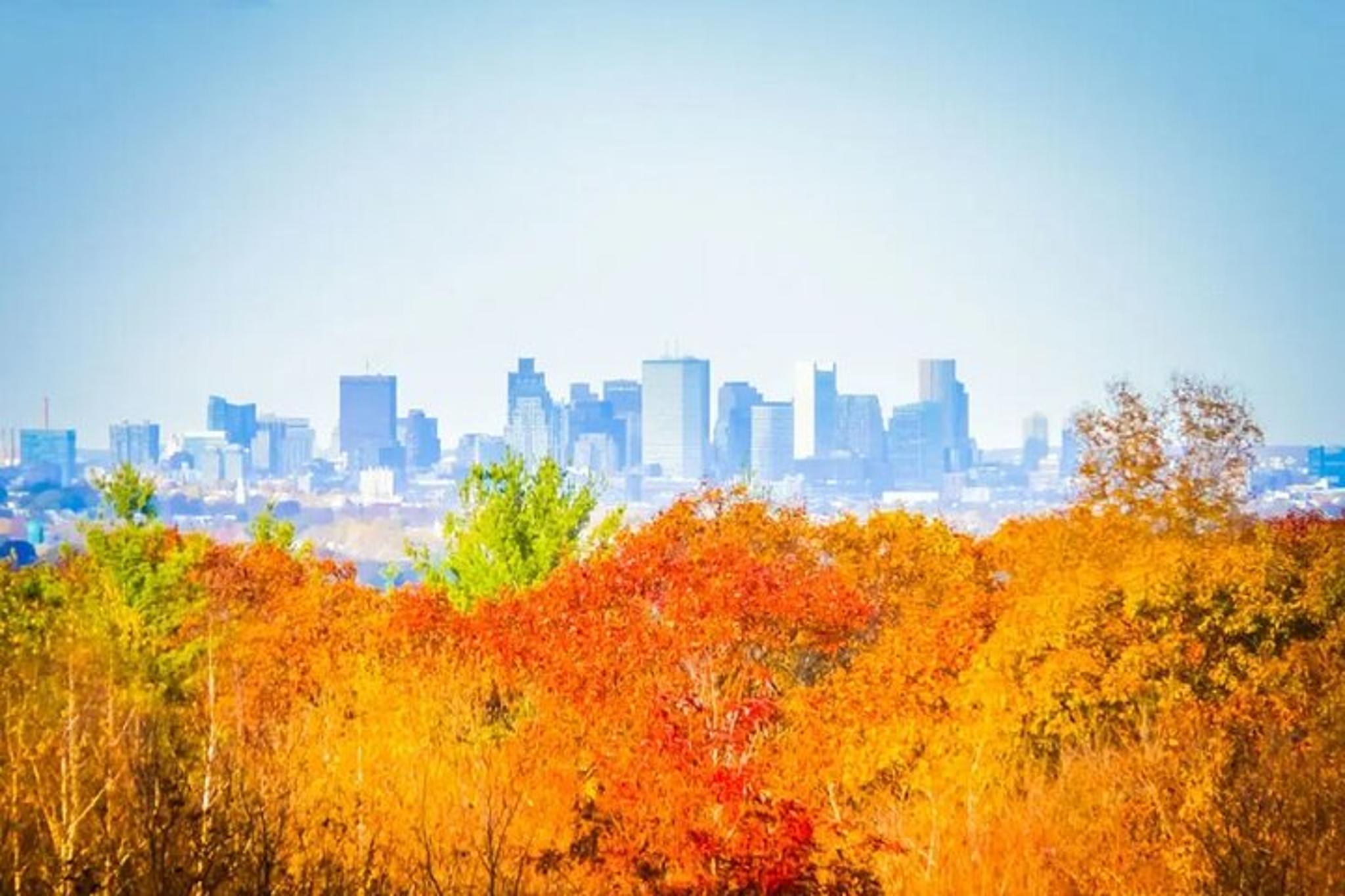 Boston Harbor Private Sunset Cruise - Image 3