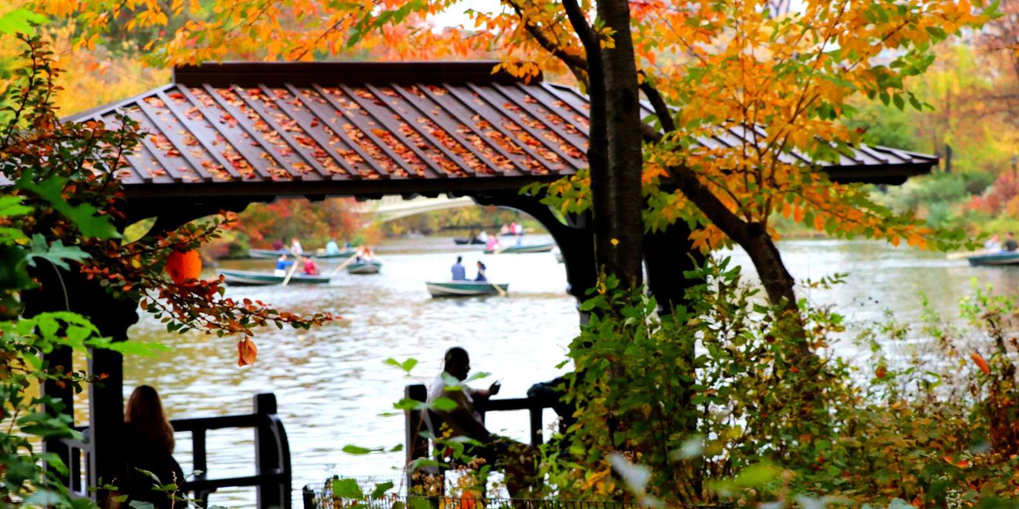 New York City Central Park Pedicab Tour - Image 5