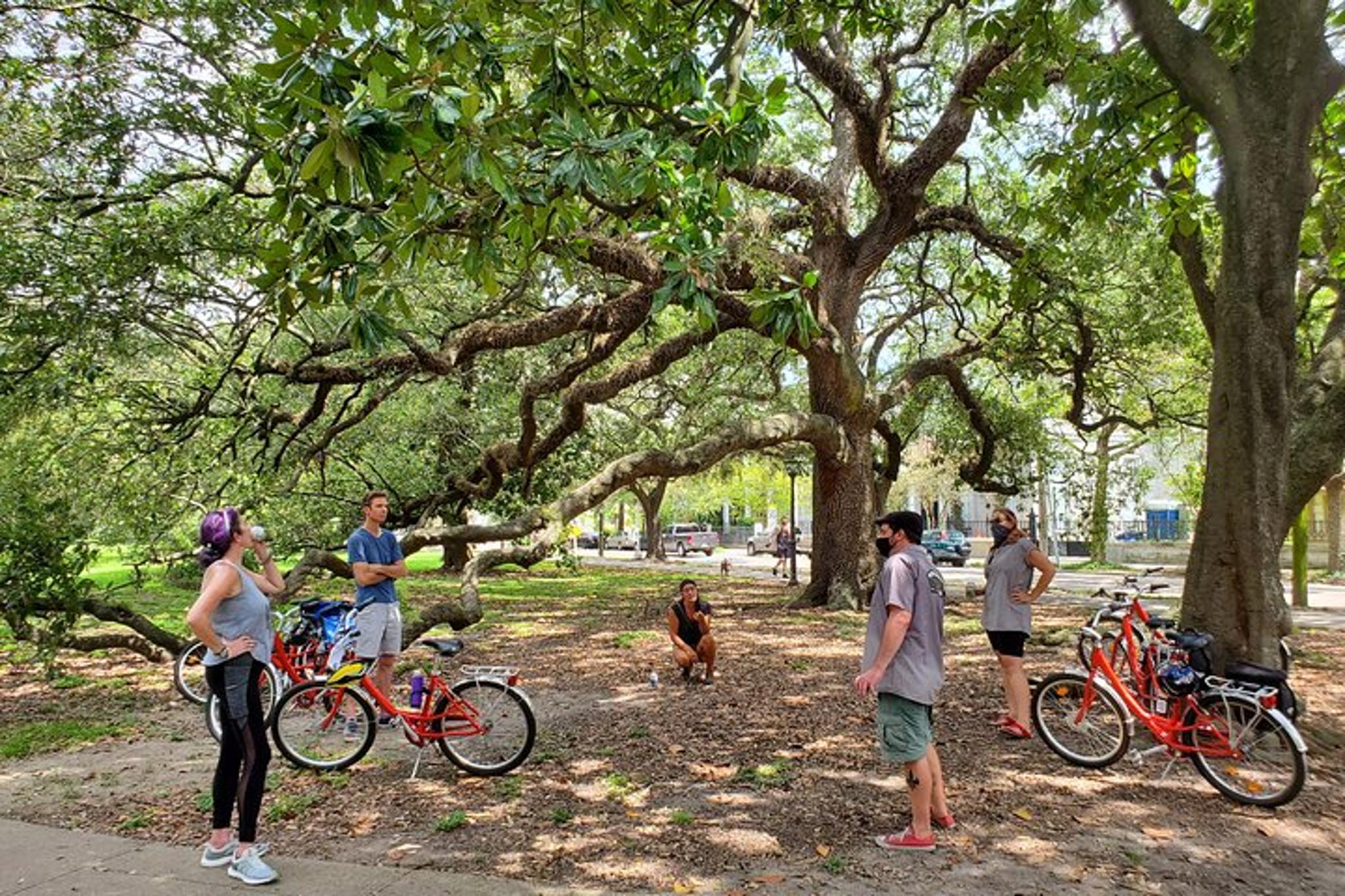 New Orleans Garden District Cemetery Bike Tour - Image 1