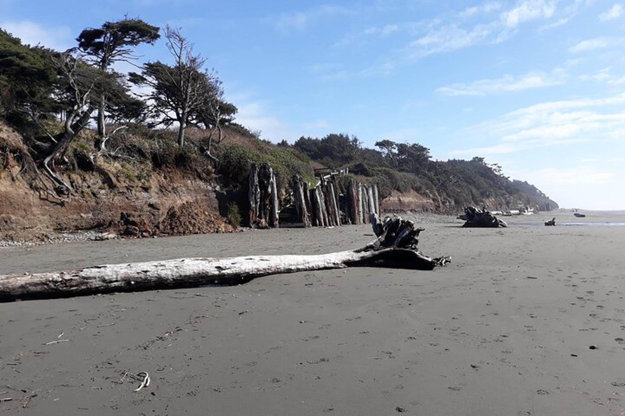 Long Beach Pacific Ocean Experience - Image 4