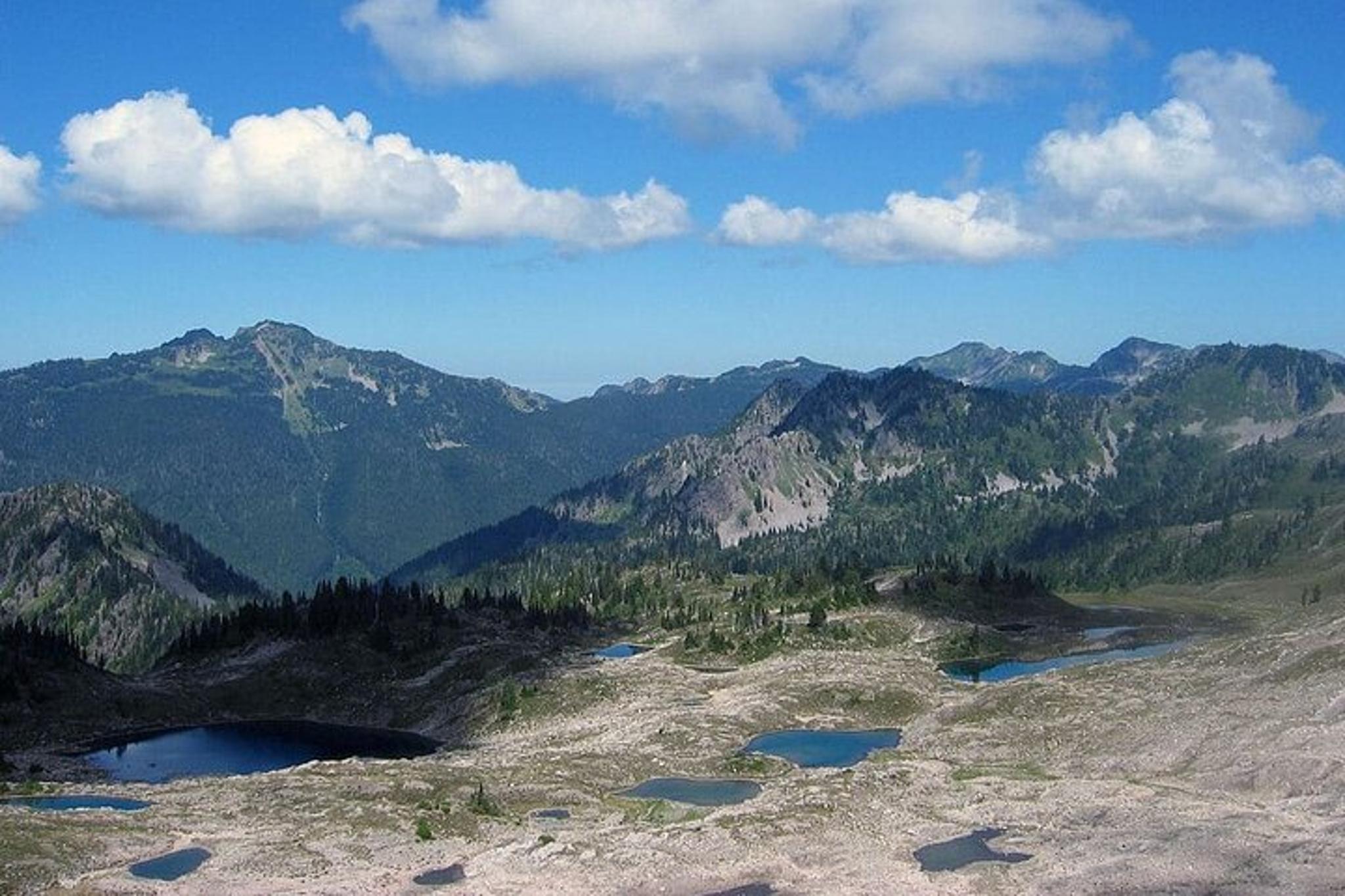 Olympic National Park Backpacking Adventure - Image 4