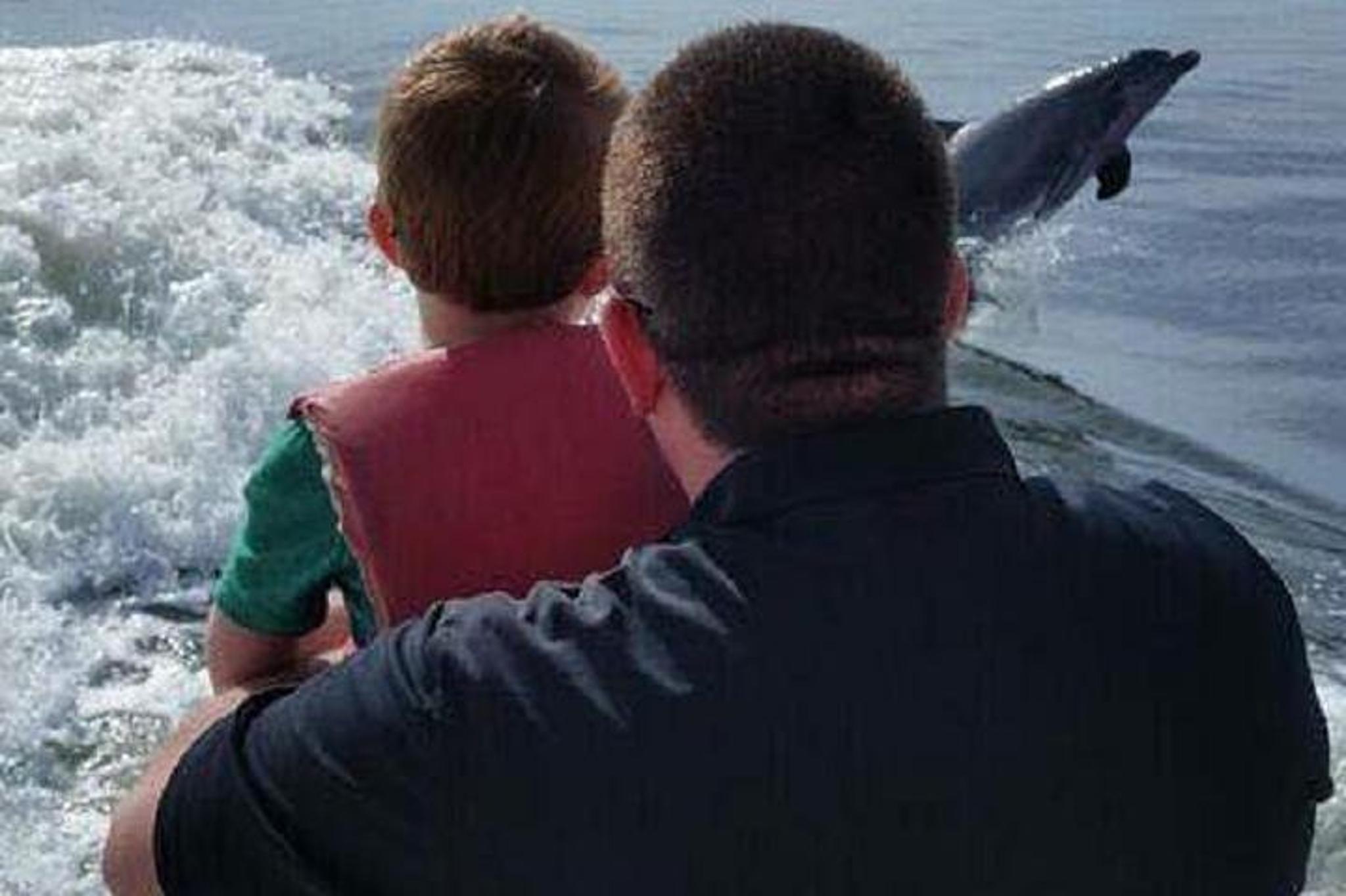 Alabama Gulf Coast Dolphin Cruise - Image 4