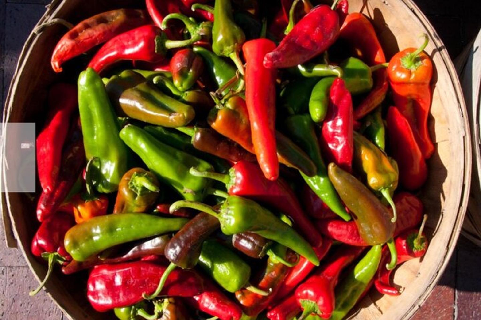 Santa Fe Chef-Guided New Mexican Lunch Tour
