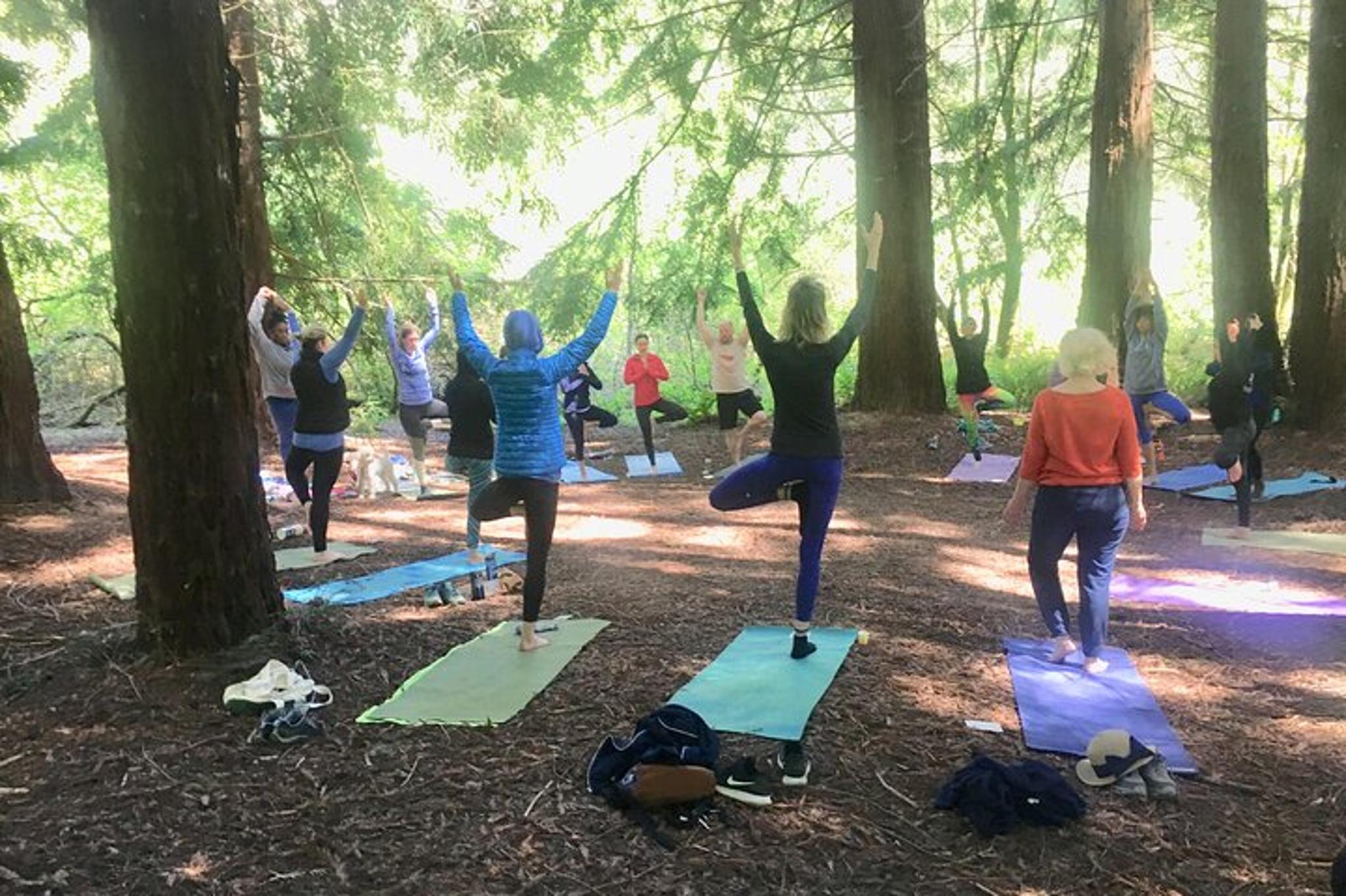 Oakland Yoga Class at Lake Merritt Pergola - Image 6