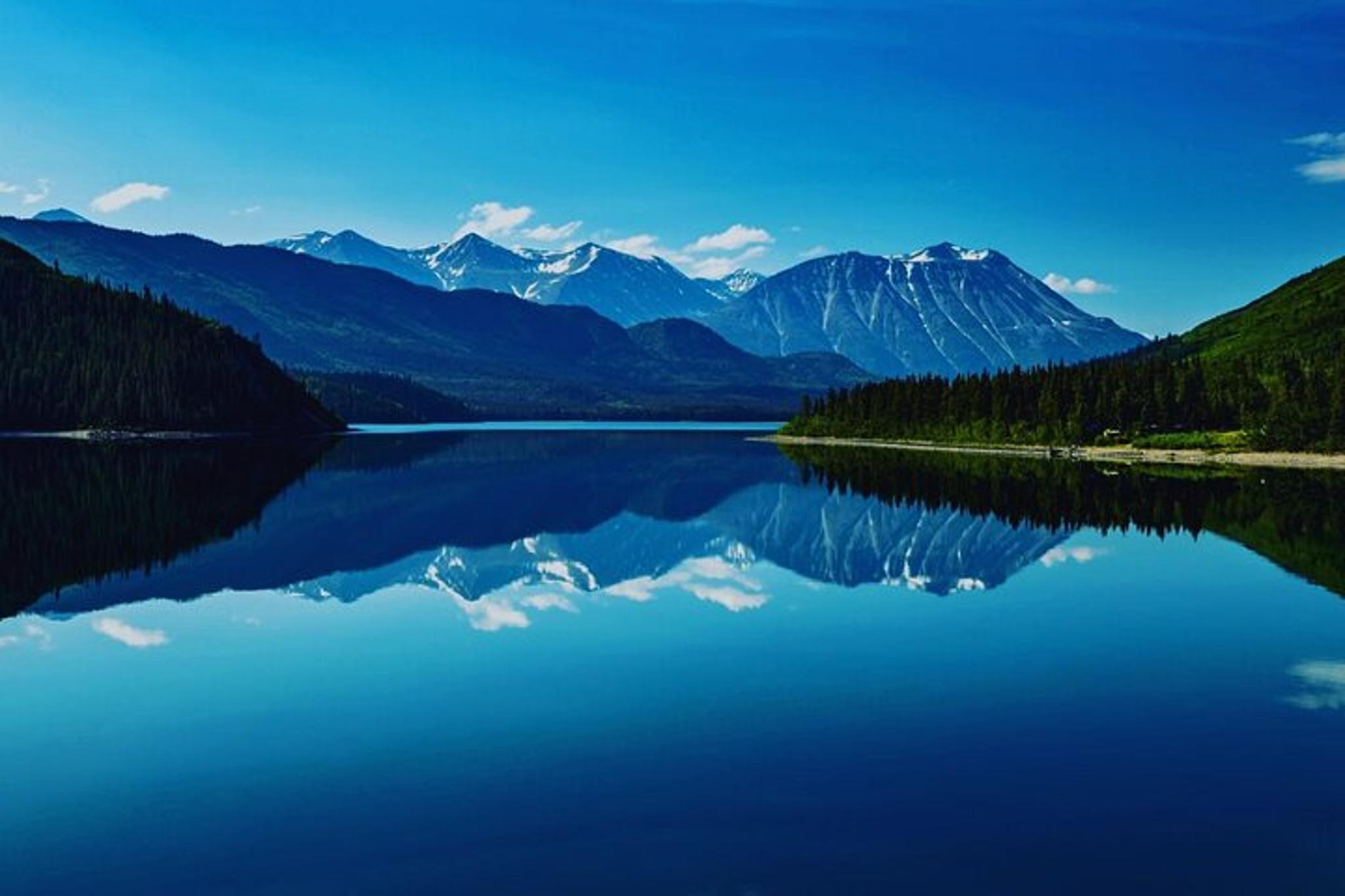 Ketchikan Private Wildlife Tour - Image 4