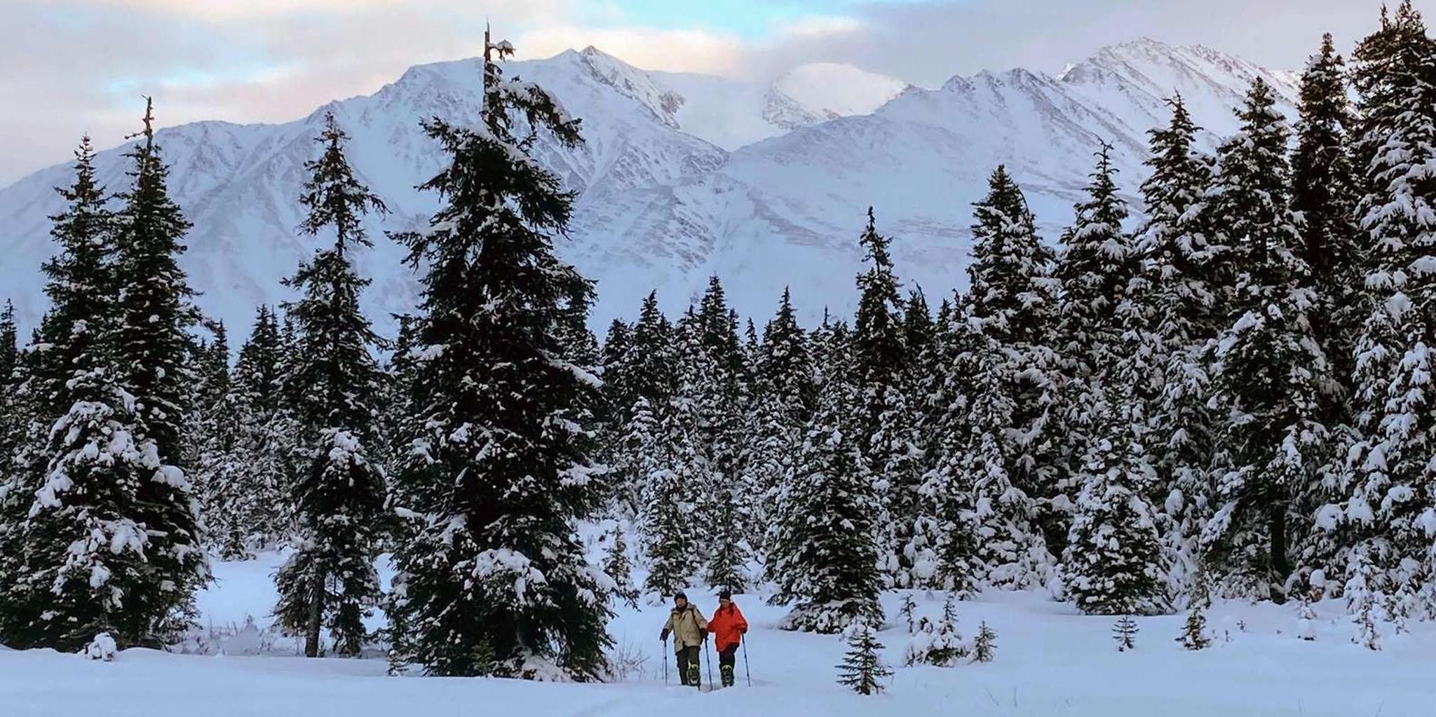 Seward Snowshoeing Adventure - Image 2