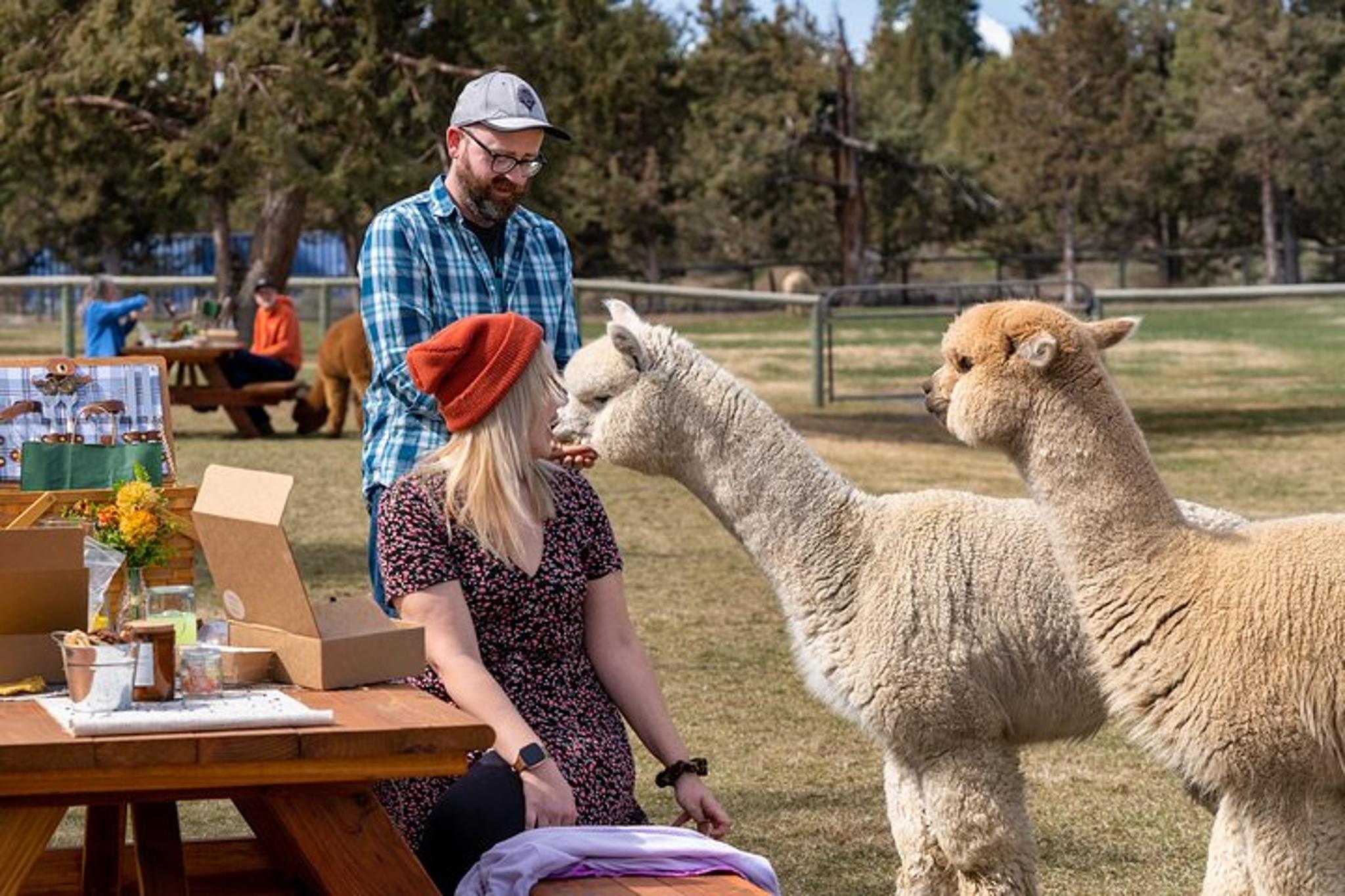 Bend Alpaca Picnic Experience 90 min - Image 5