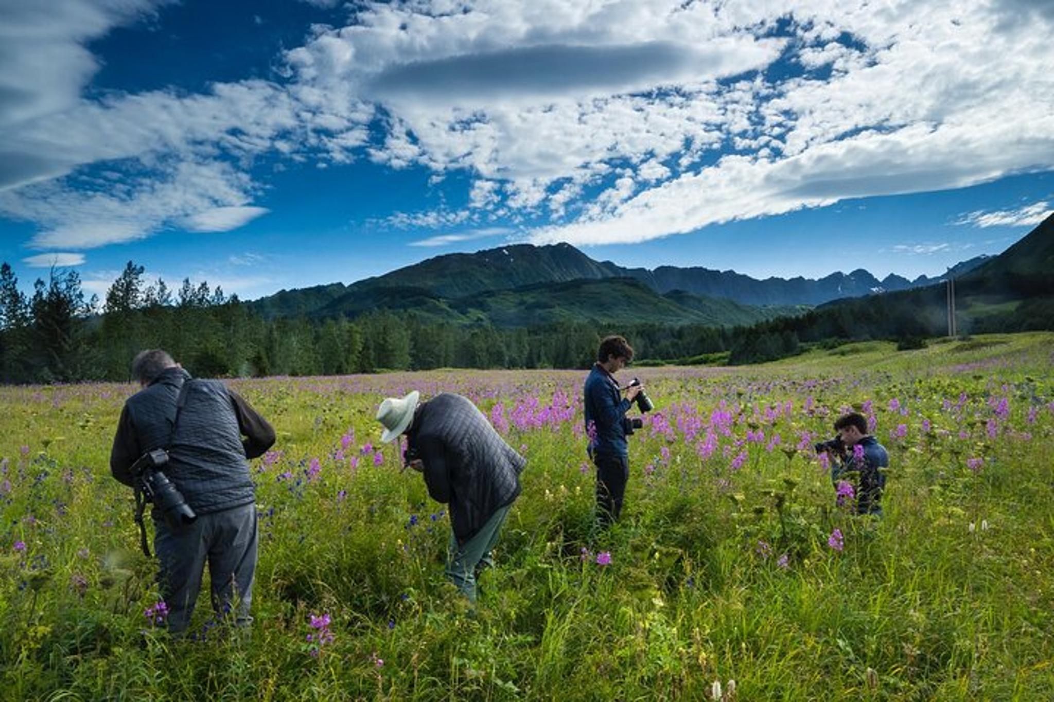Seward to Anchorage Scenic Photo Tour - Image 2