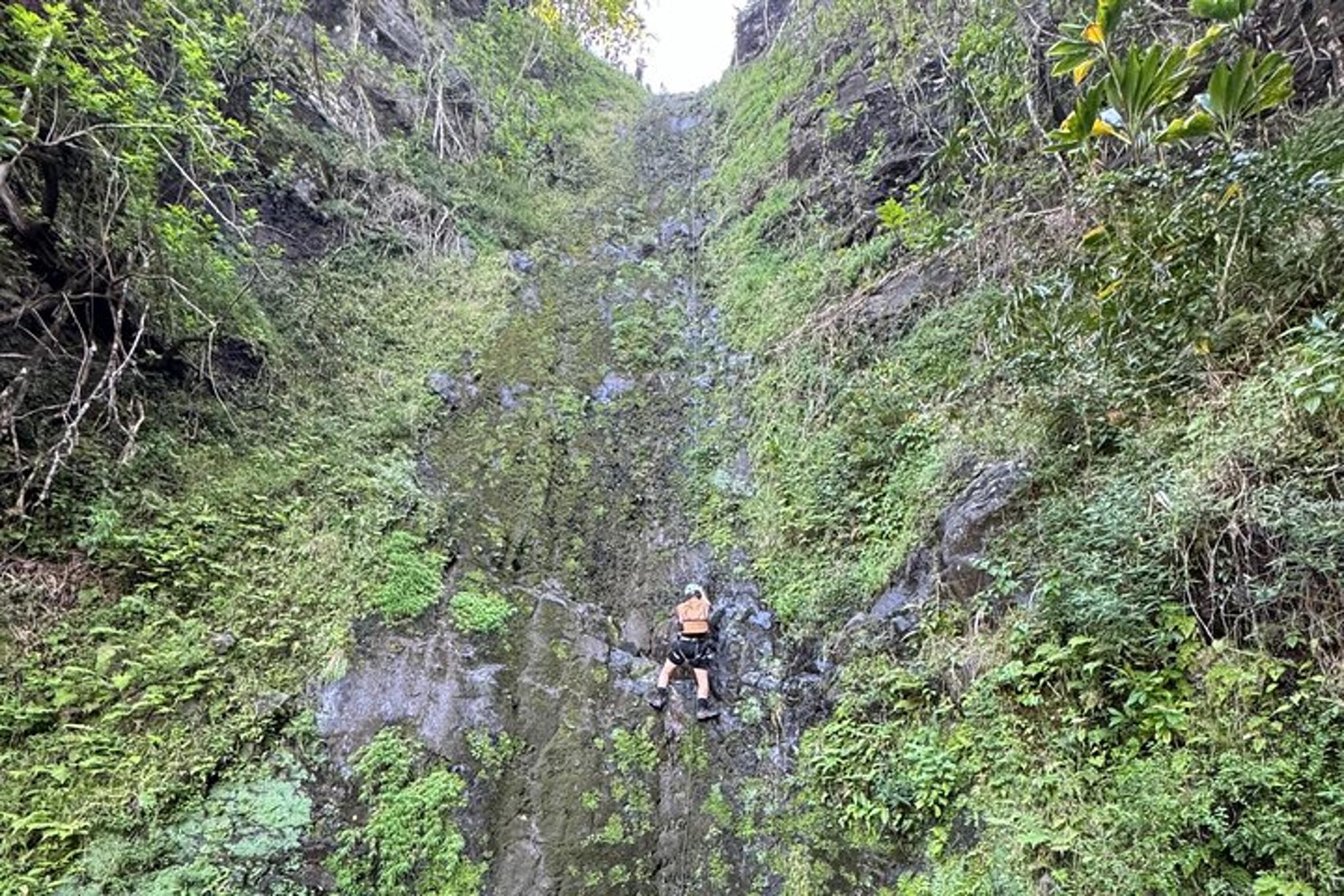 Oahu Canyon Rappel and Hike Expedition - Image 2