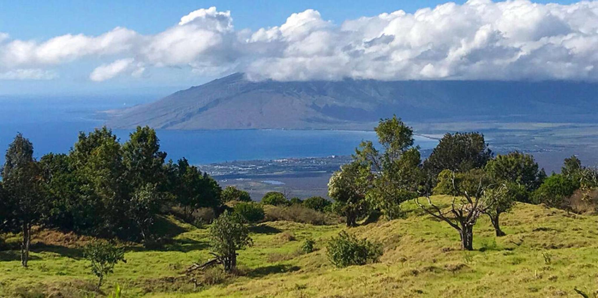 Maui Private Island Tour with Snorkeling 7 hr - Image 4