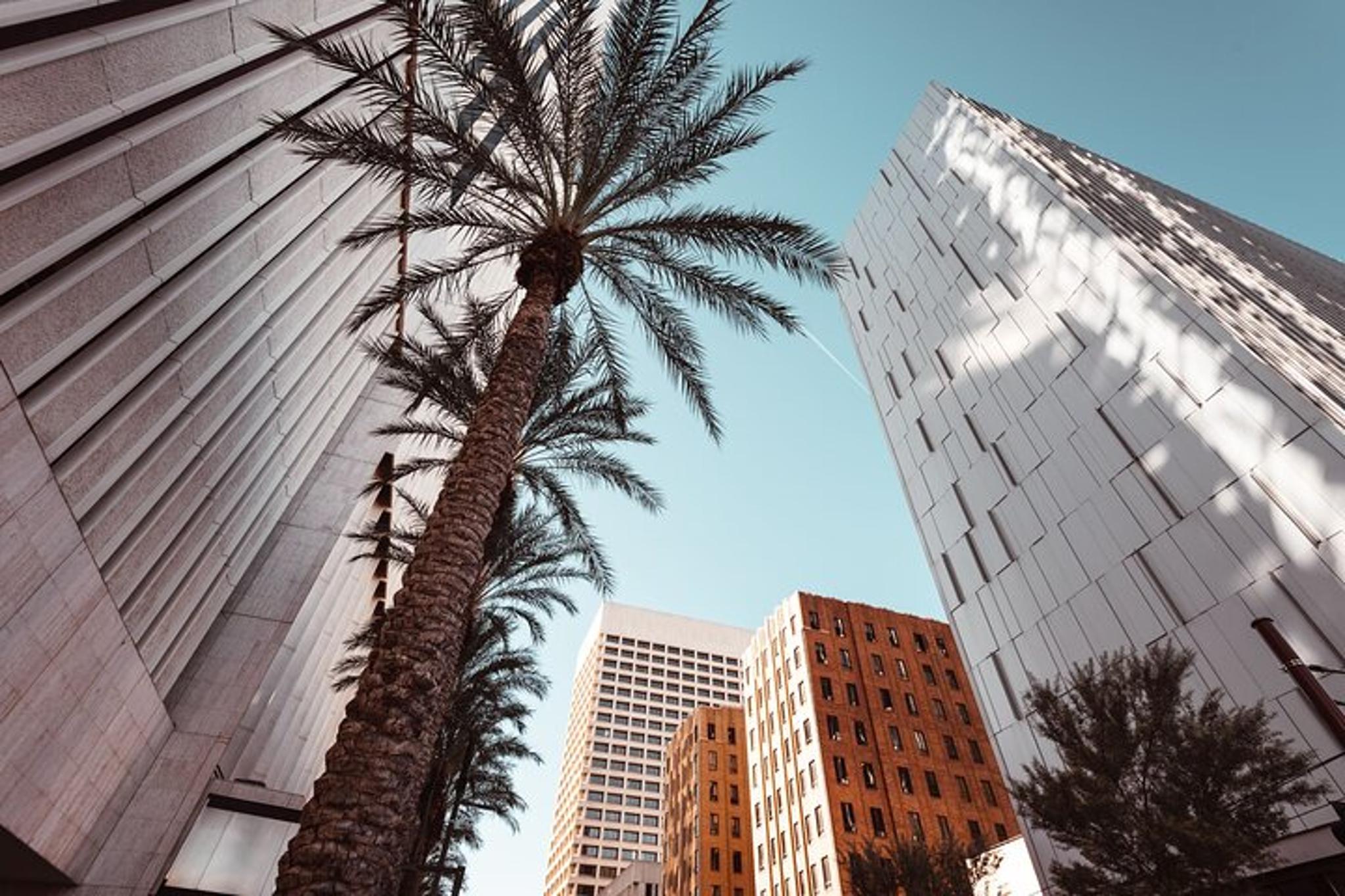 Phoenix Private Walking Tour - Image 1