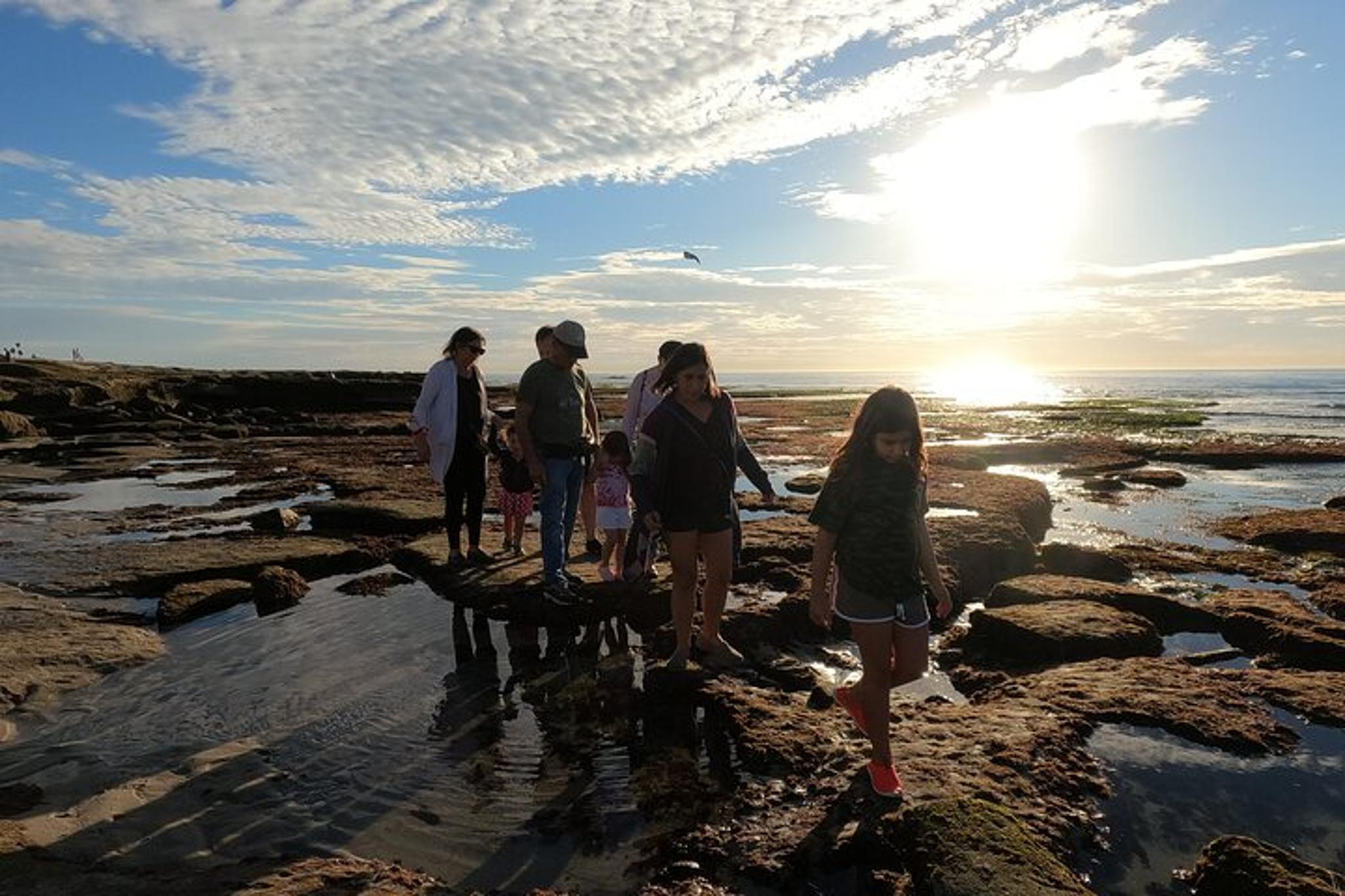 San Diego Tide Pool Tour with Marine Biologist - Image 2