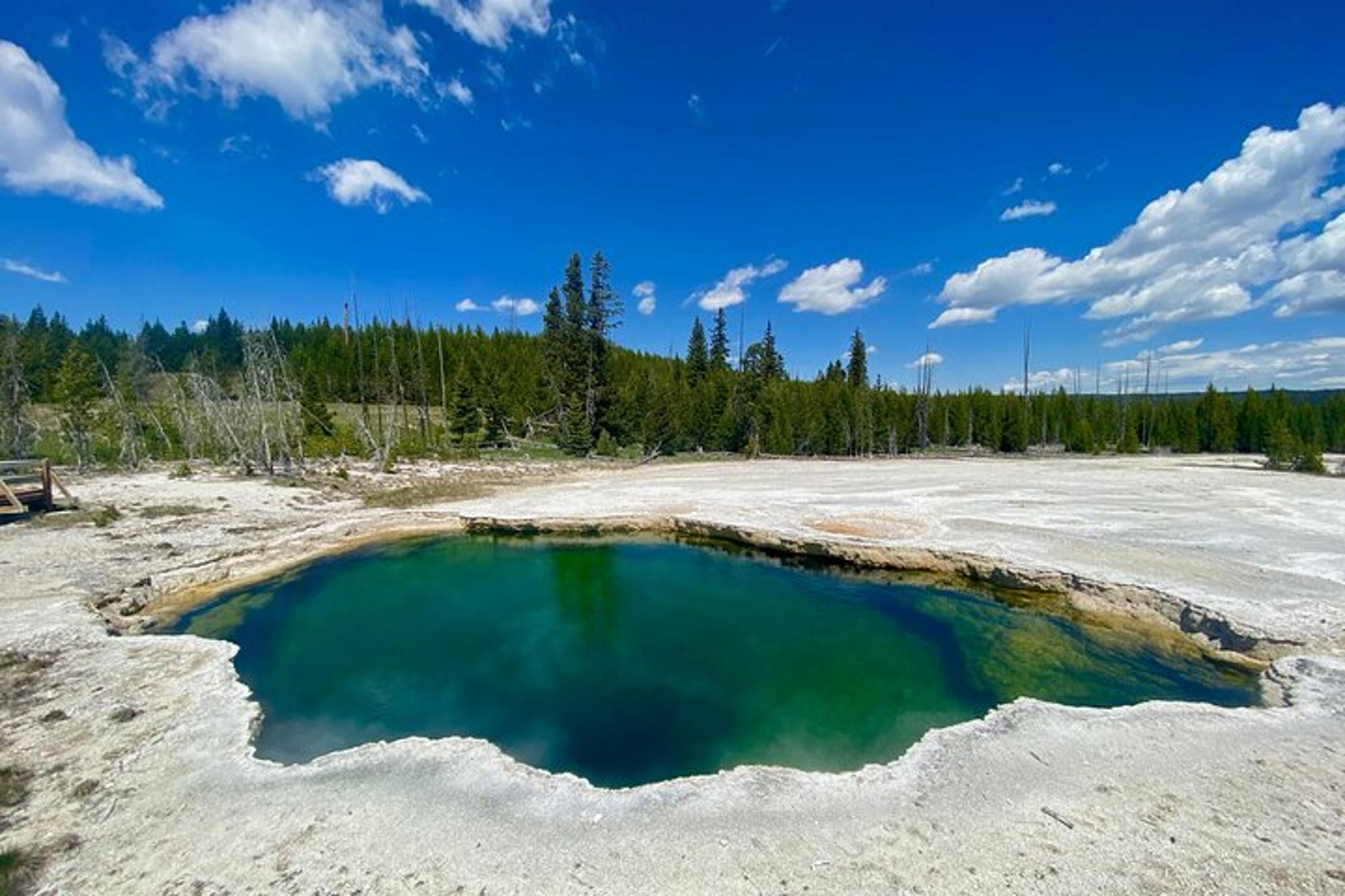 West Yellowstone Wildlife and Geyser Tour - Image 4