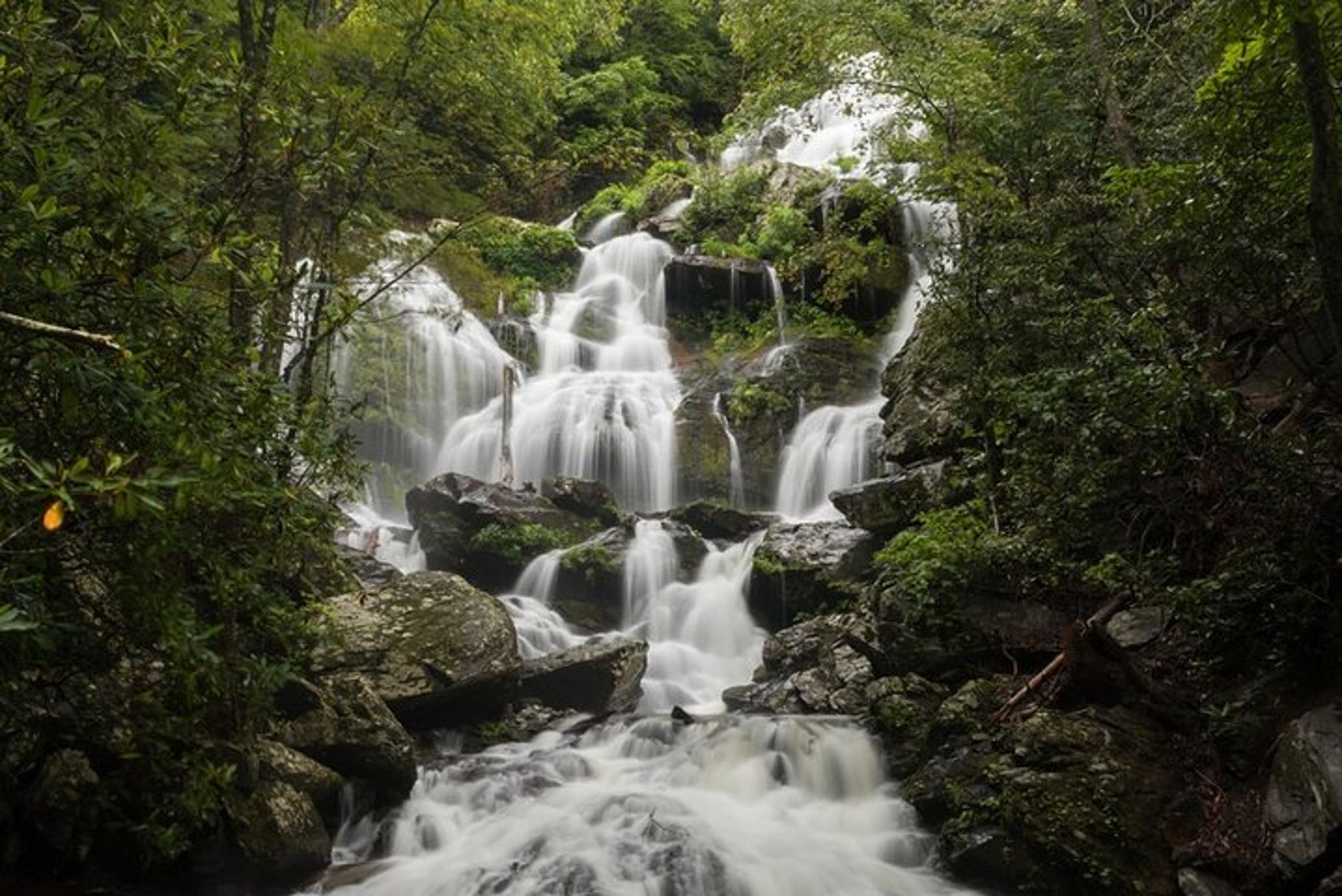Asheville Waterfalls Hike 4 hr - Image 2