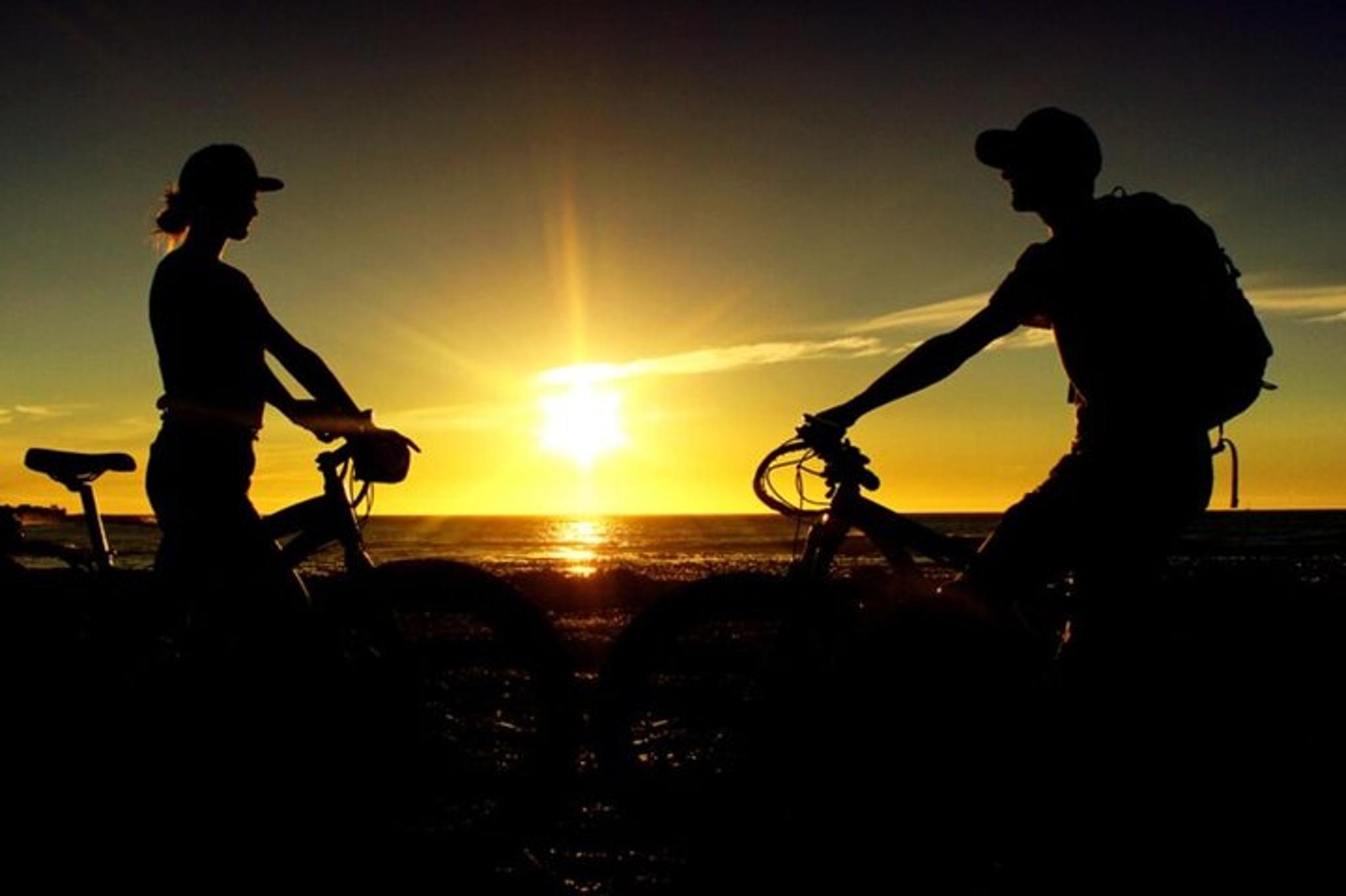 Treasure Island Bicycle Rental - Image 2