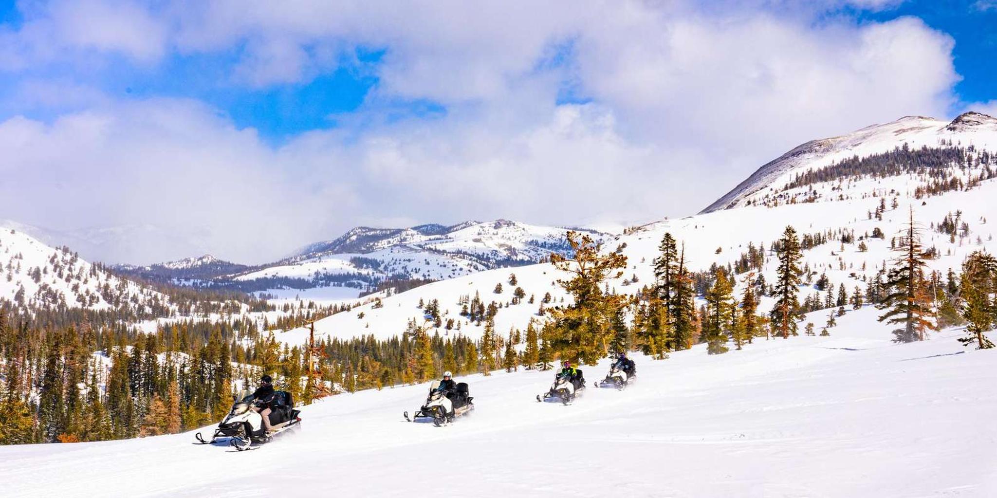 Lake Tahoe Snowmobile Tour with Scenic Views 2 hr - Image 2