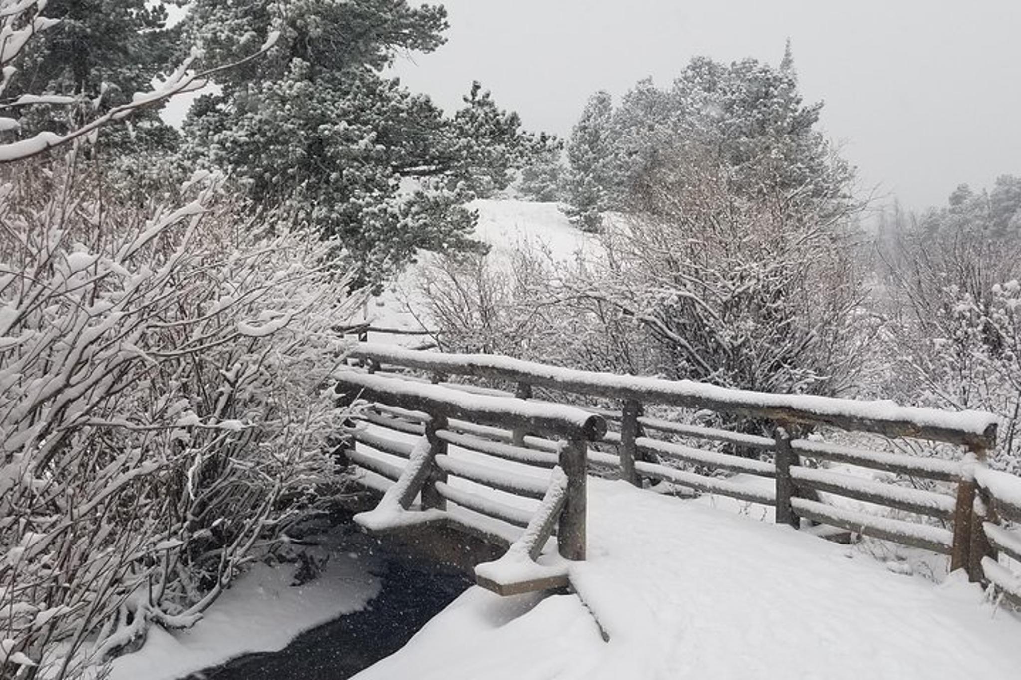 Estes Park Winter Tour in Rocky Mountain National Park - Image 5