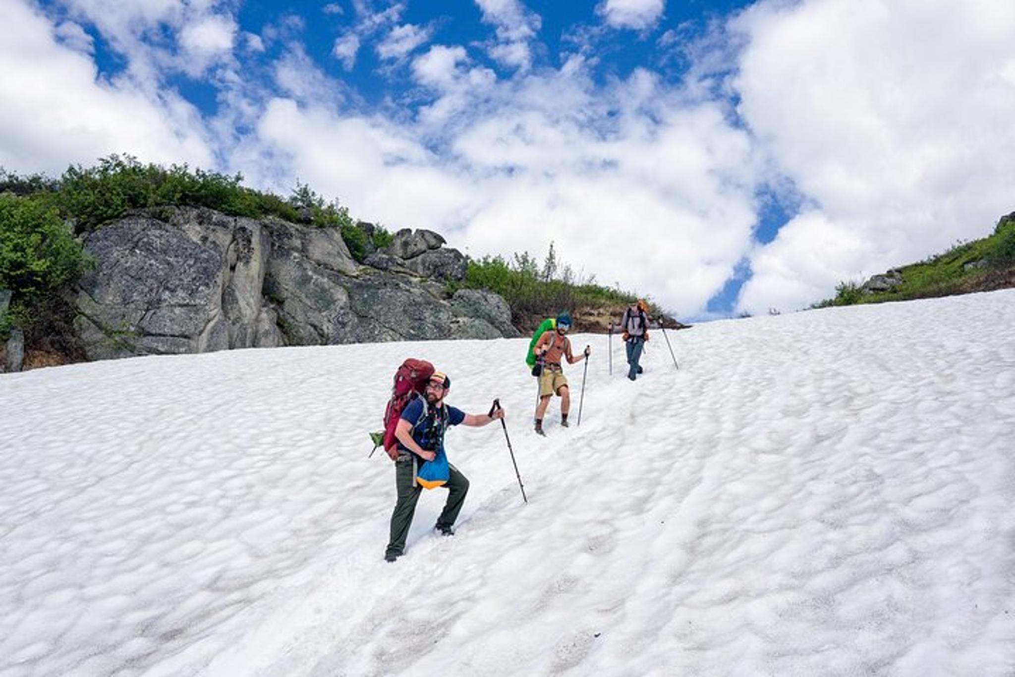 Anchorage K'esugi Ridge Backpacking Tour 4 Days - Image 2