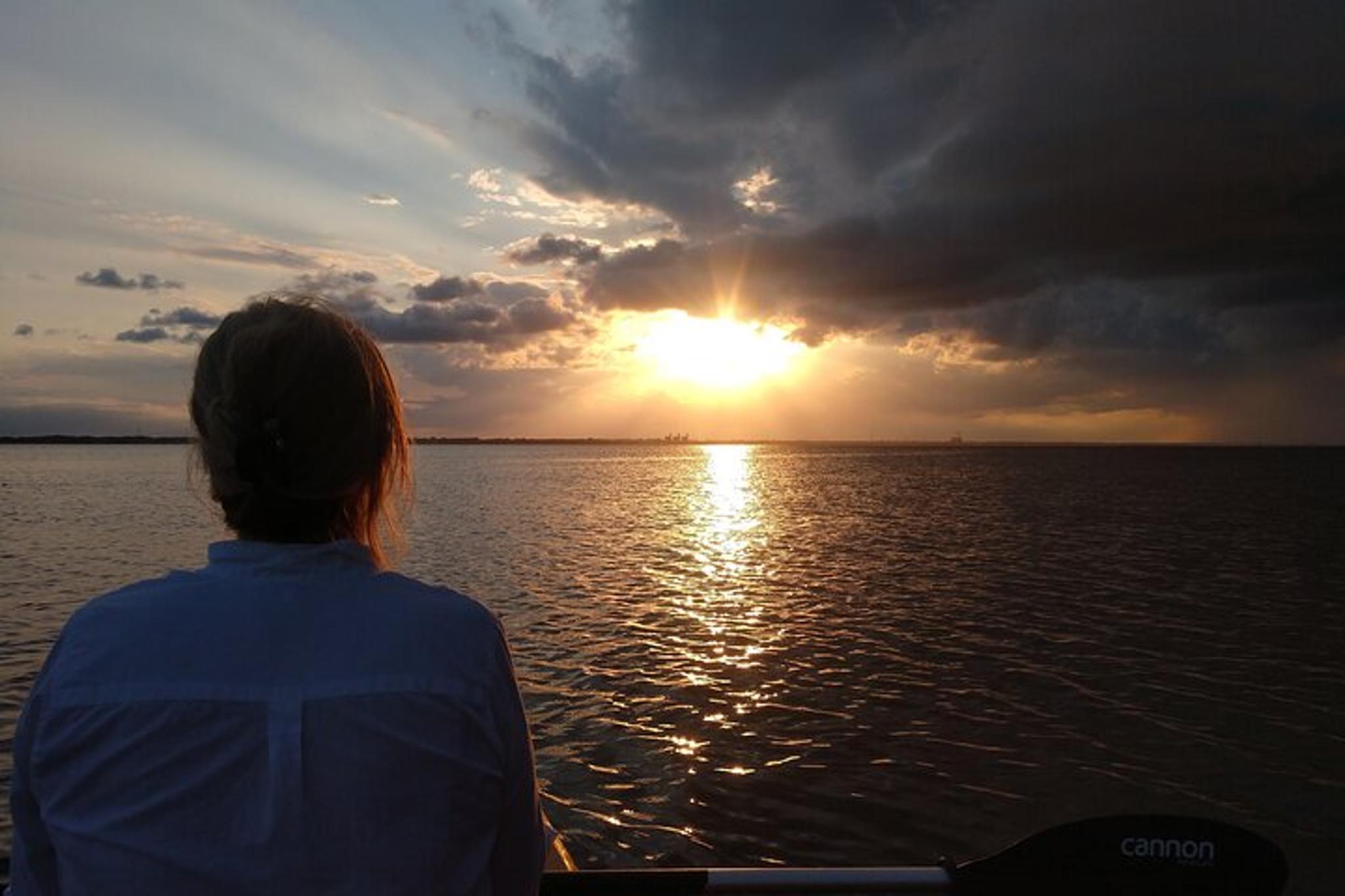 Brevard County Kayak Tour with Manatee & Dolphin Sightings - Image 4