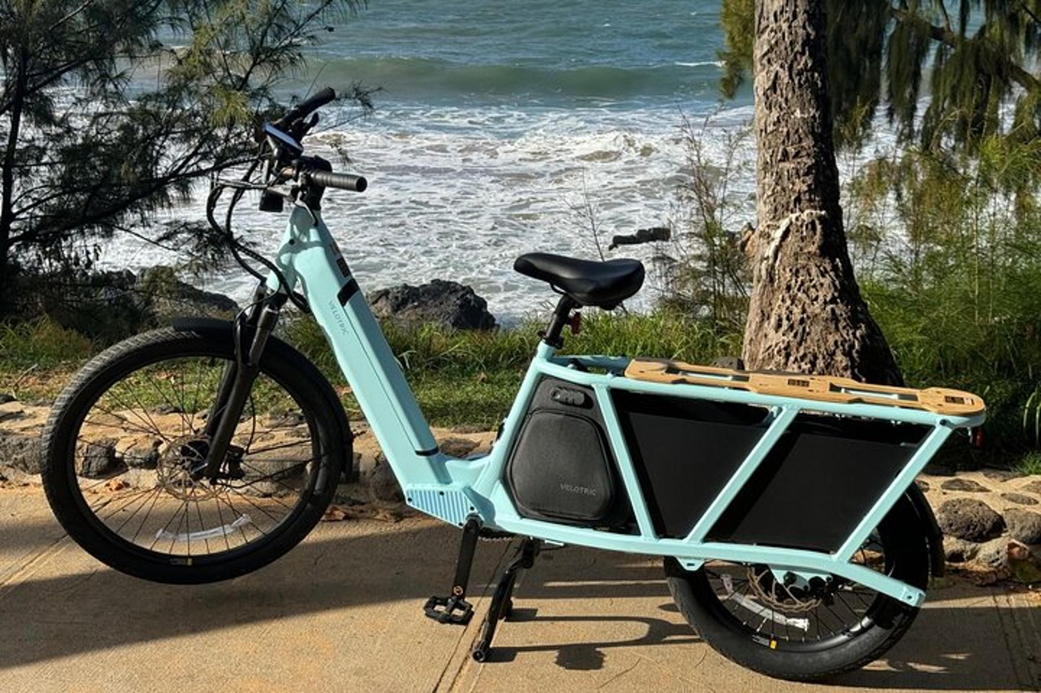 Maui Electric Bike Tour - Image 5